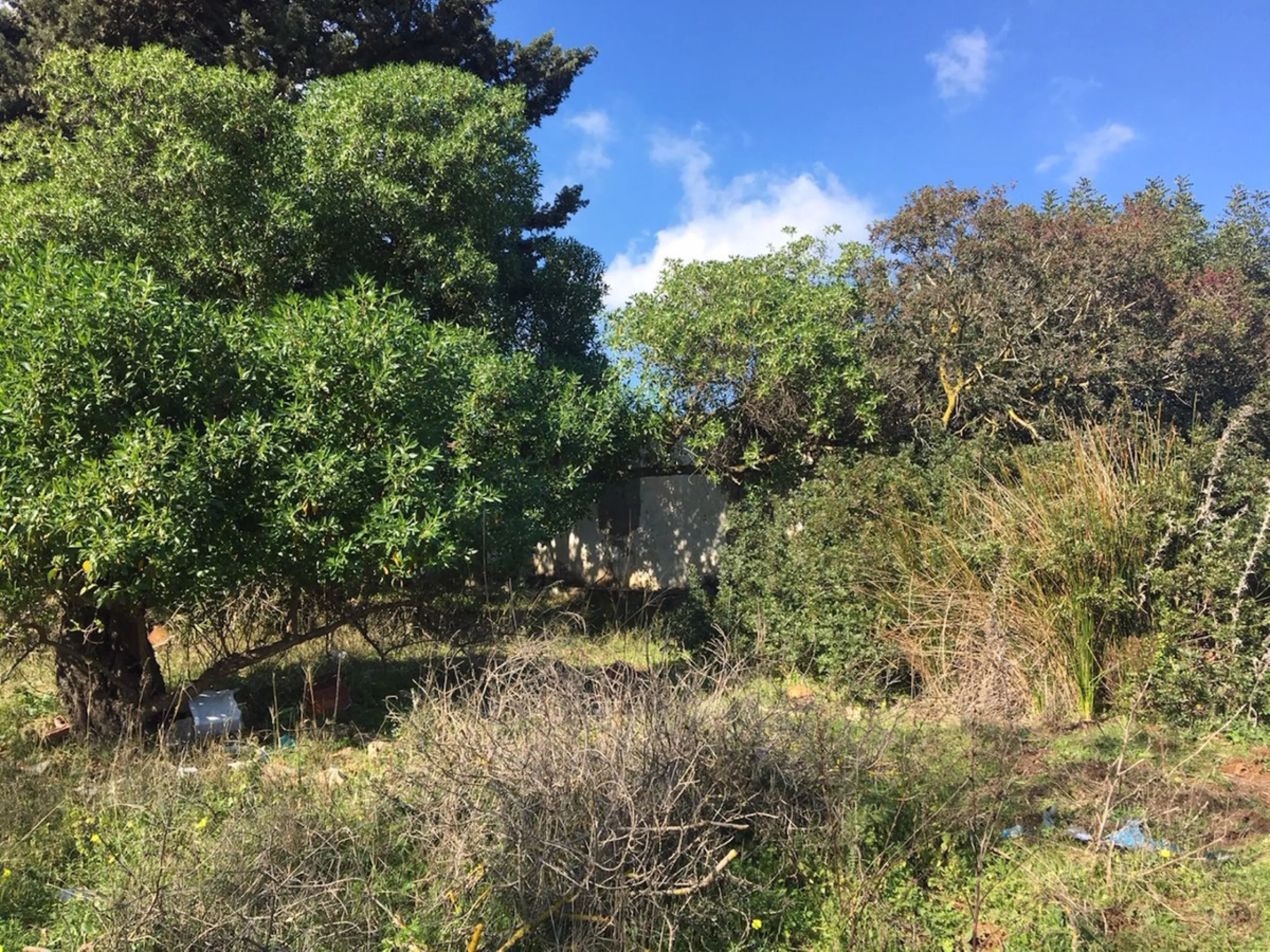 Plot - Land в продаже в Manilva, Málaga. Площадь участка 143500 м²