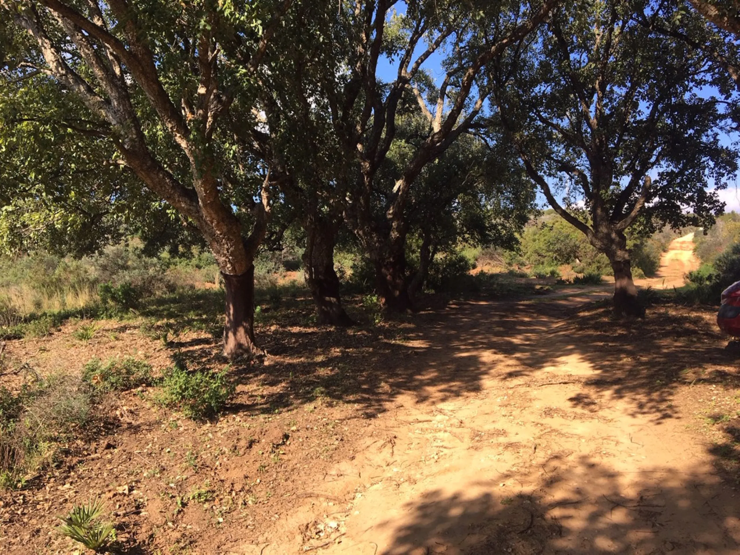 Plot - Land в продаже в Manilva, Málaga. Площадь участка 143500 м²