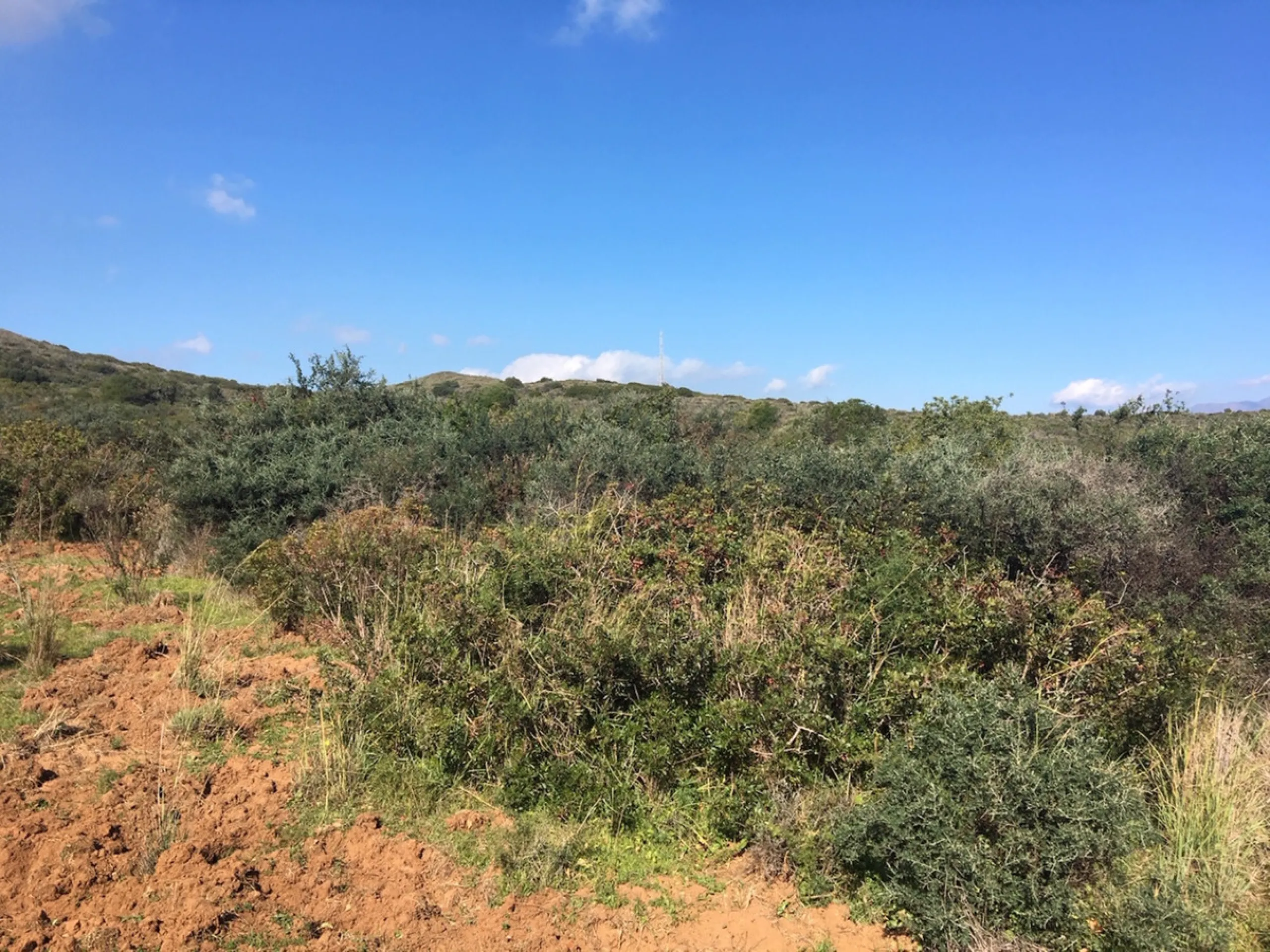 Plot - Land в продаже в Manilva, Málaga. Площадь участка 143500 м²