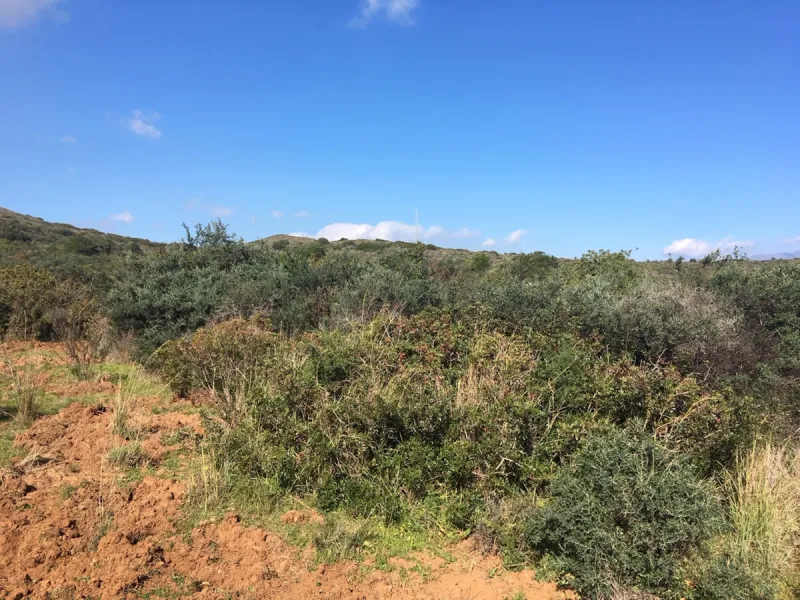 Plot - Land в продаже в Manilva, Málaga. Площадь участка 143500 м²
