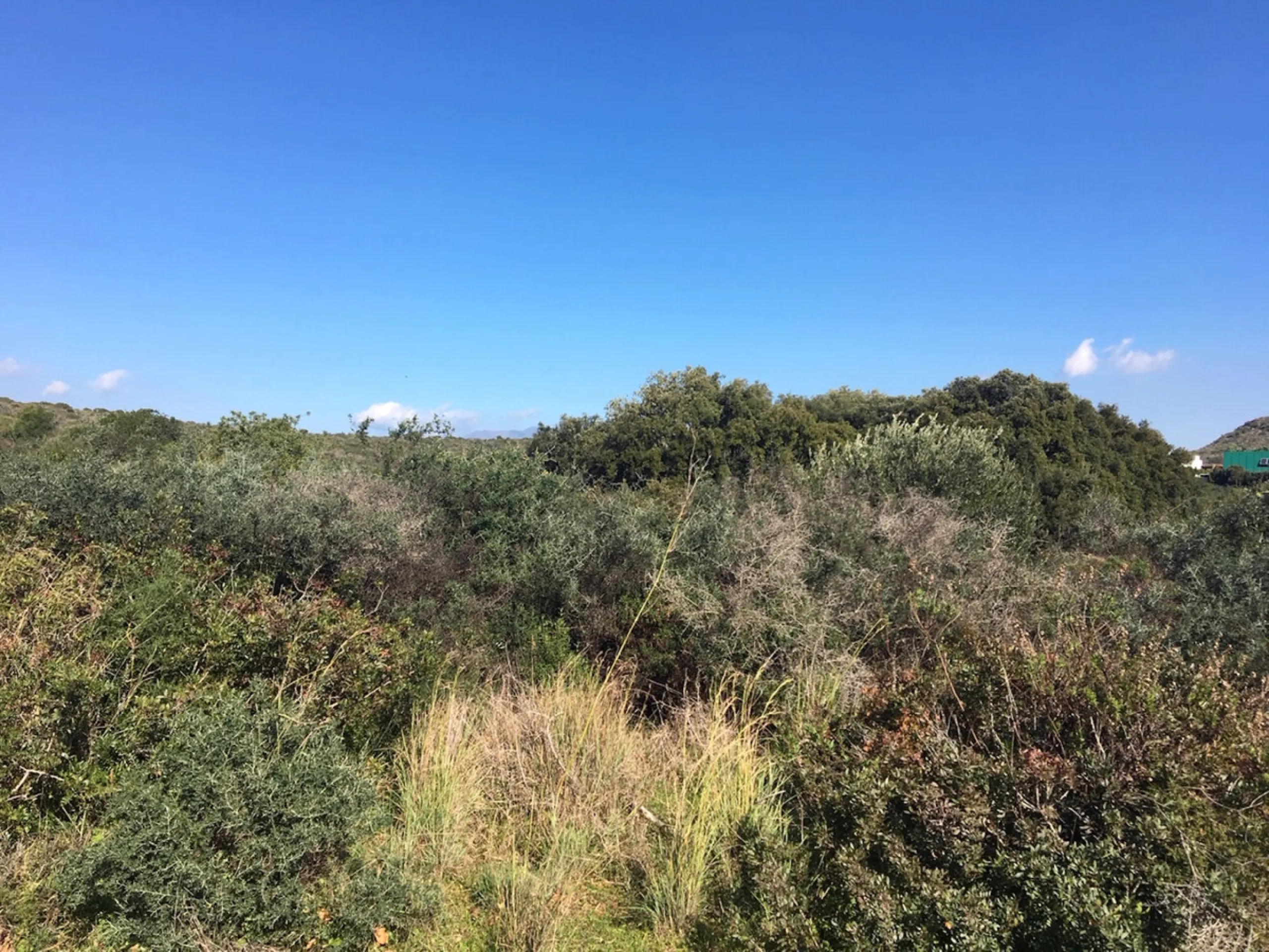 Plot - Land в продаже в Manilva, Málaga. Площадь участка 143500 м²