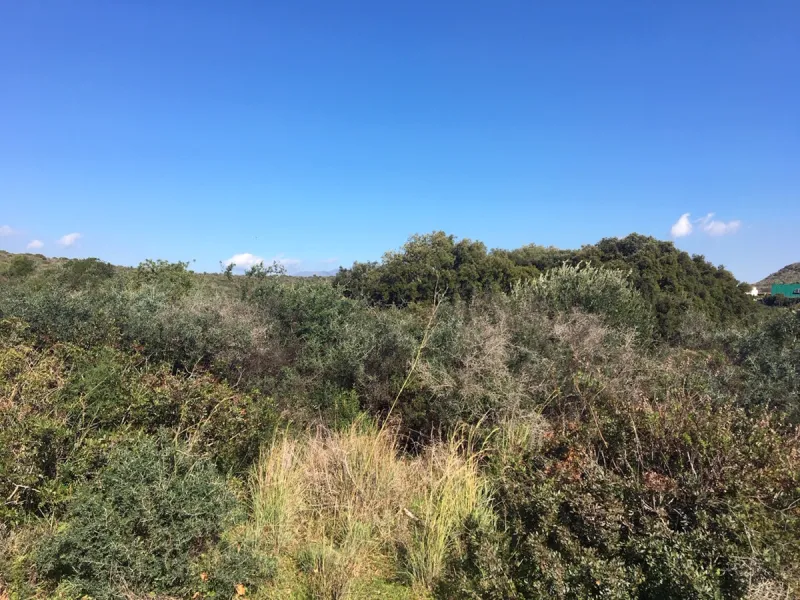Plot - Land в продаже в Manilva, Málaga. Площадь участка 143500 м²