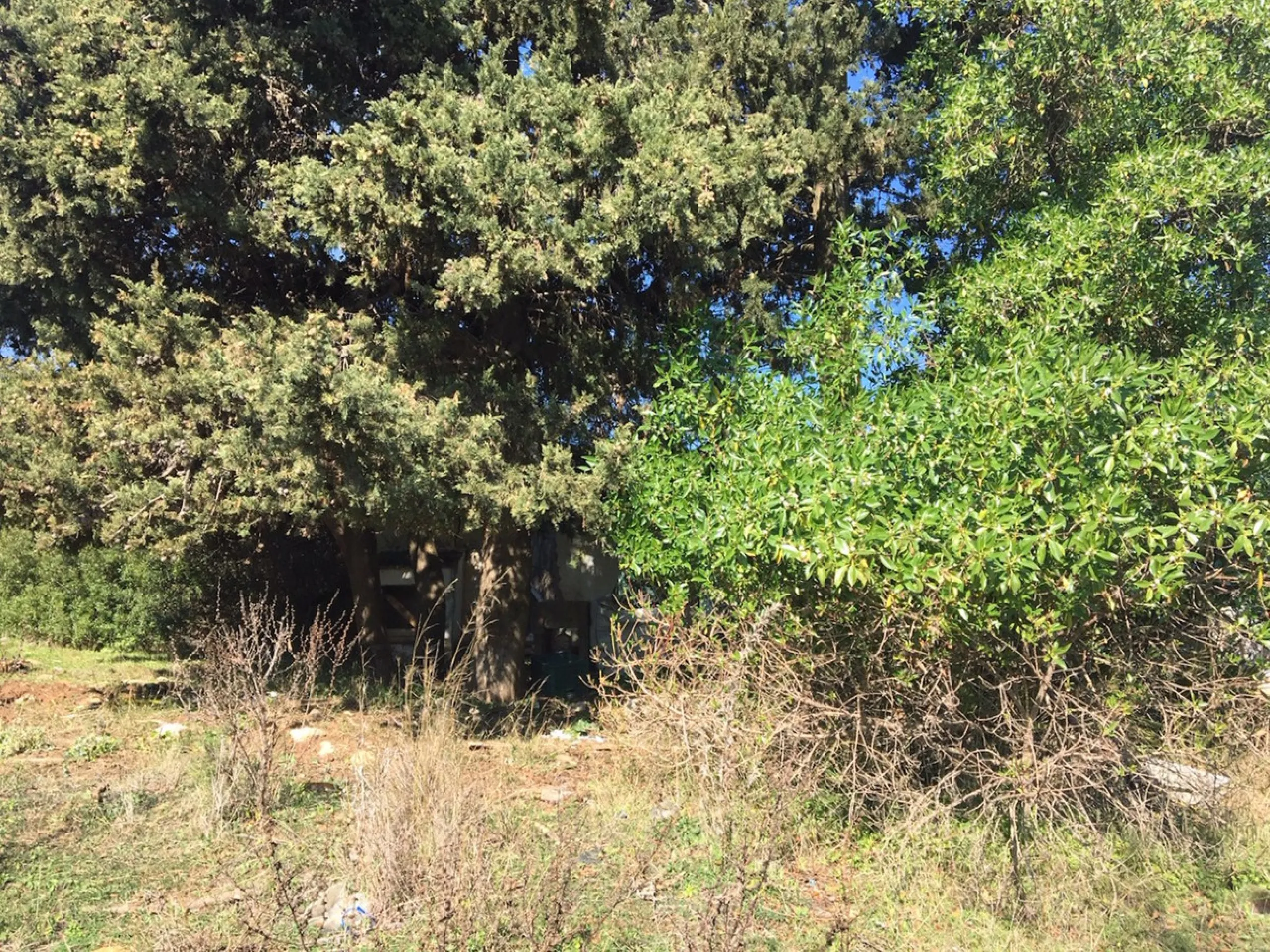 Plot - Land в продаже в Manilva, Málaga. Площадь участка 143500 м²