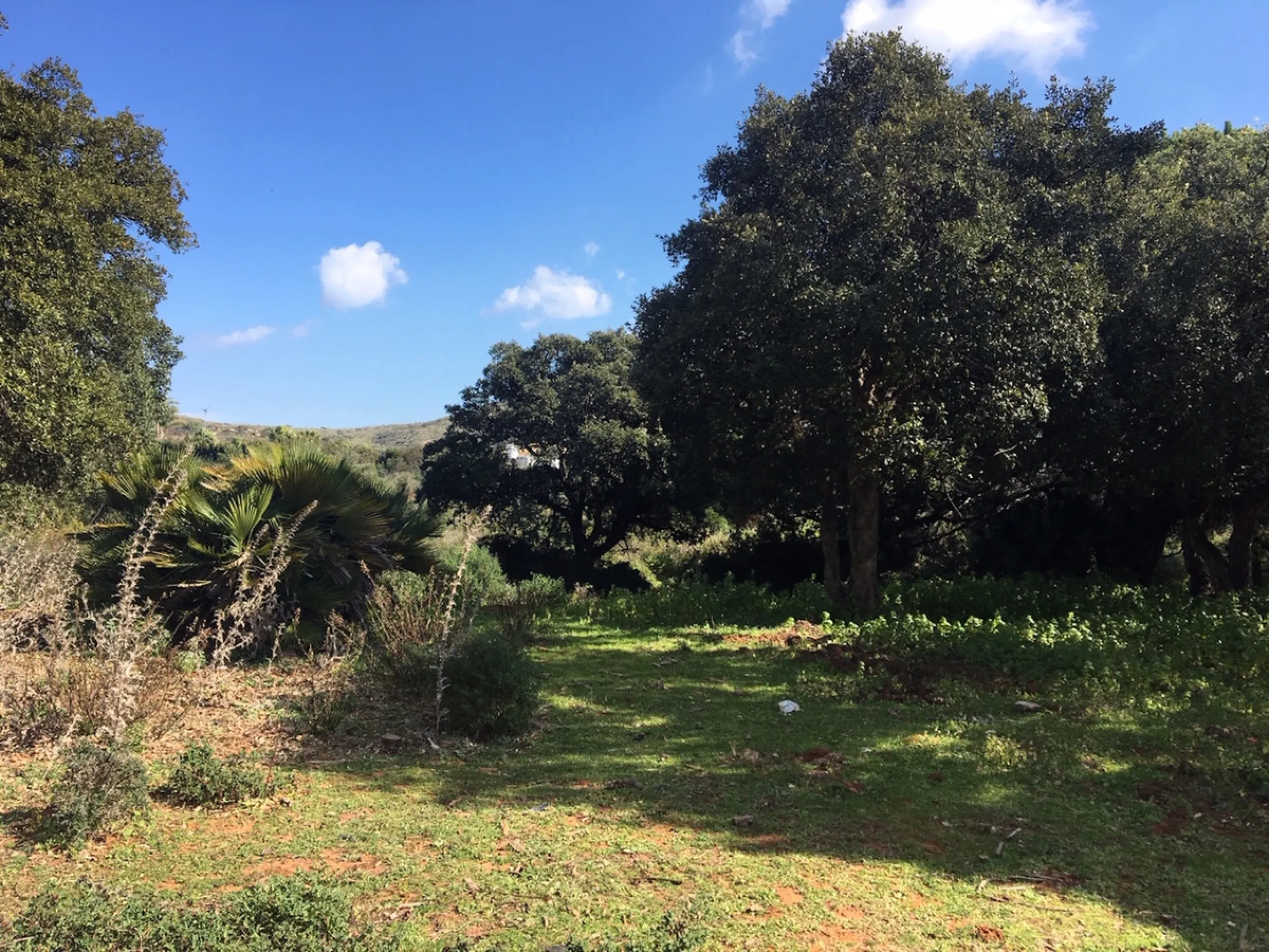 Plot - Land в продаже в Manilva, Málaga. Площадь участка 143500 м²
