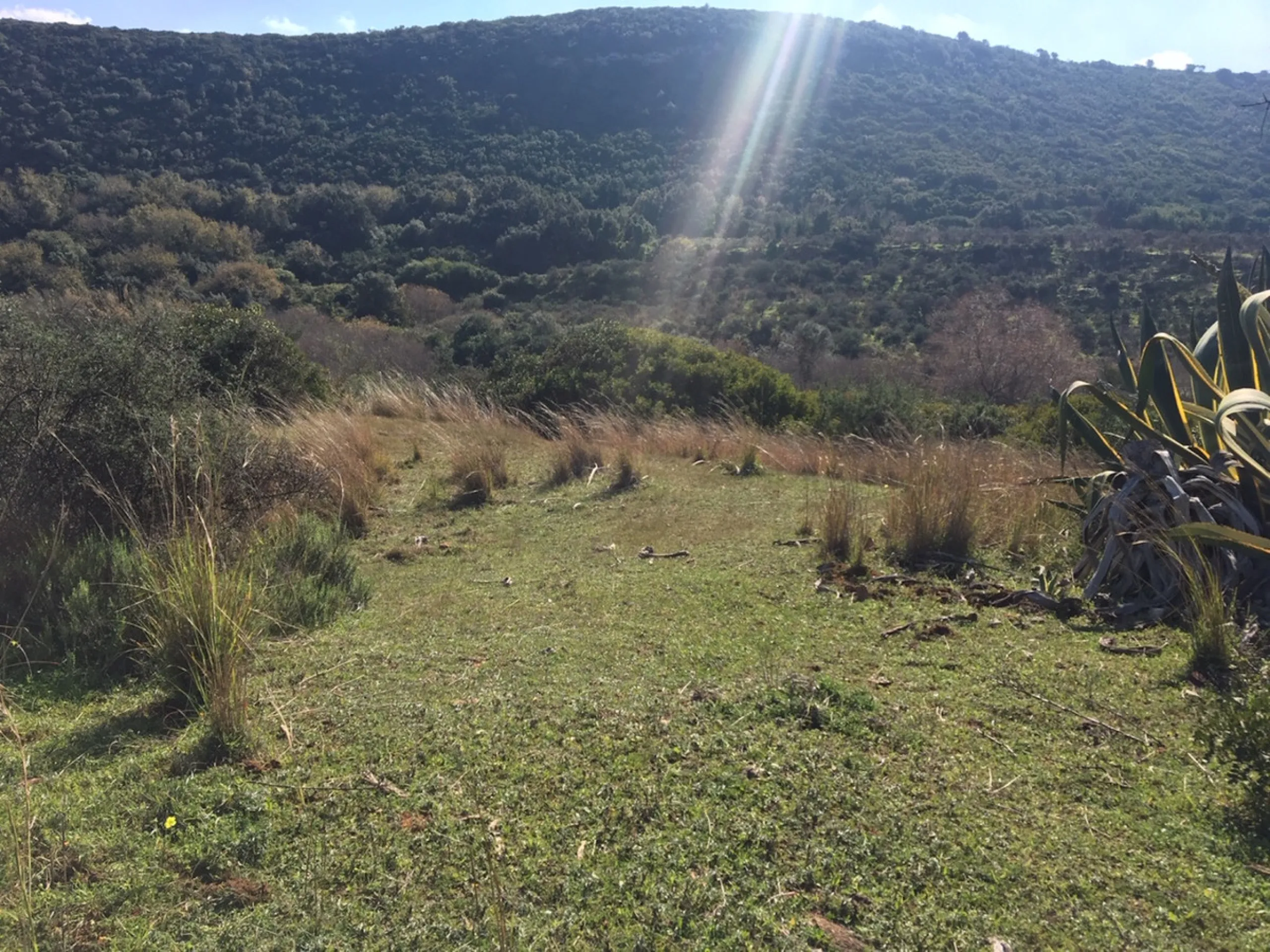 Plot - Land в продаже в Manilva, Málaga. Площадь участка 143500 м²