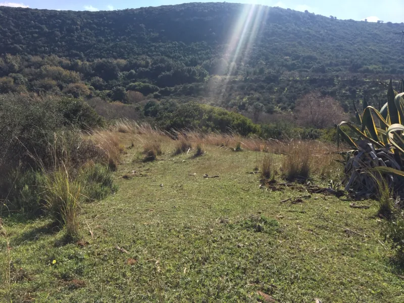 Plot - Land в продаже в Manilva, Málaga. Площадь участка 143500 м²
