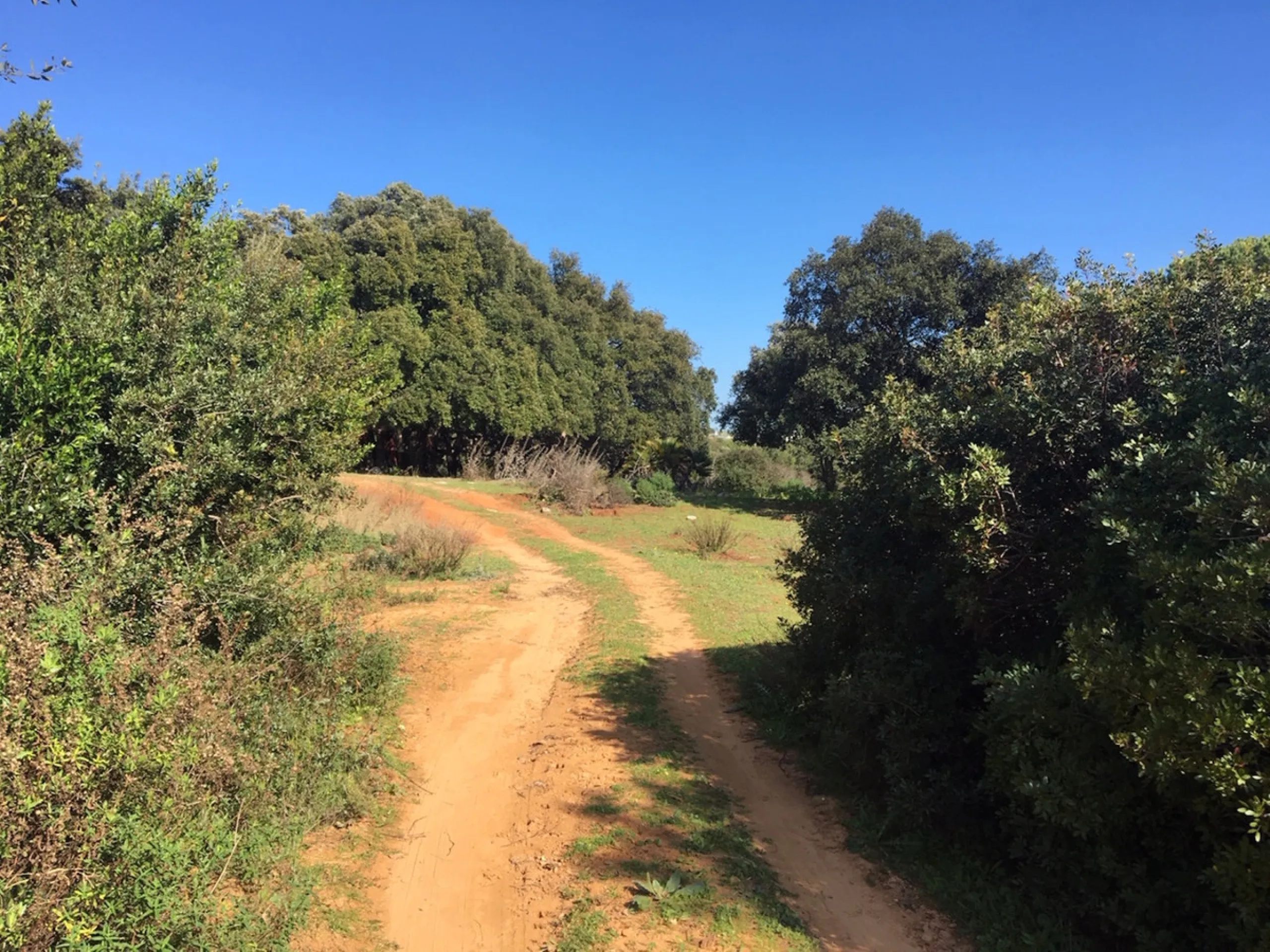 Plot - Land в продаже в Manilva, Málaga. Площадь участка 143500 м²