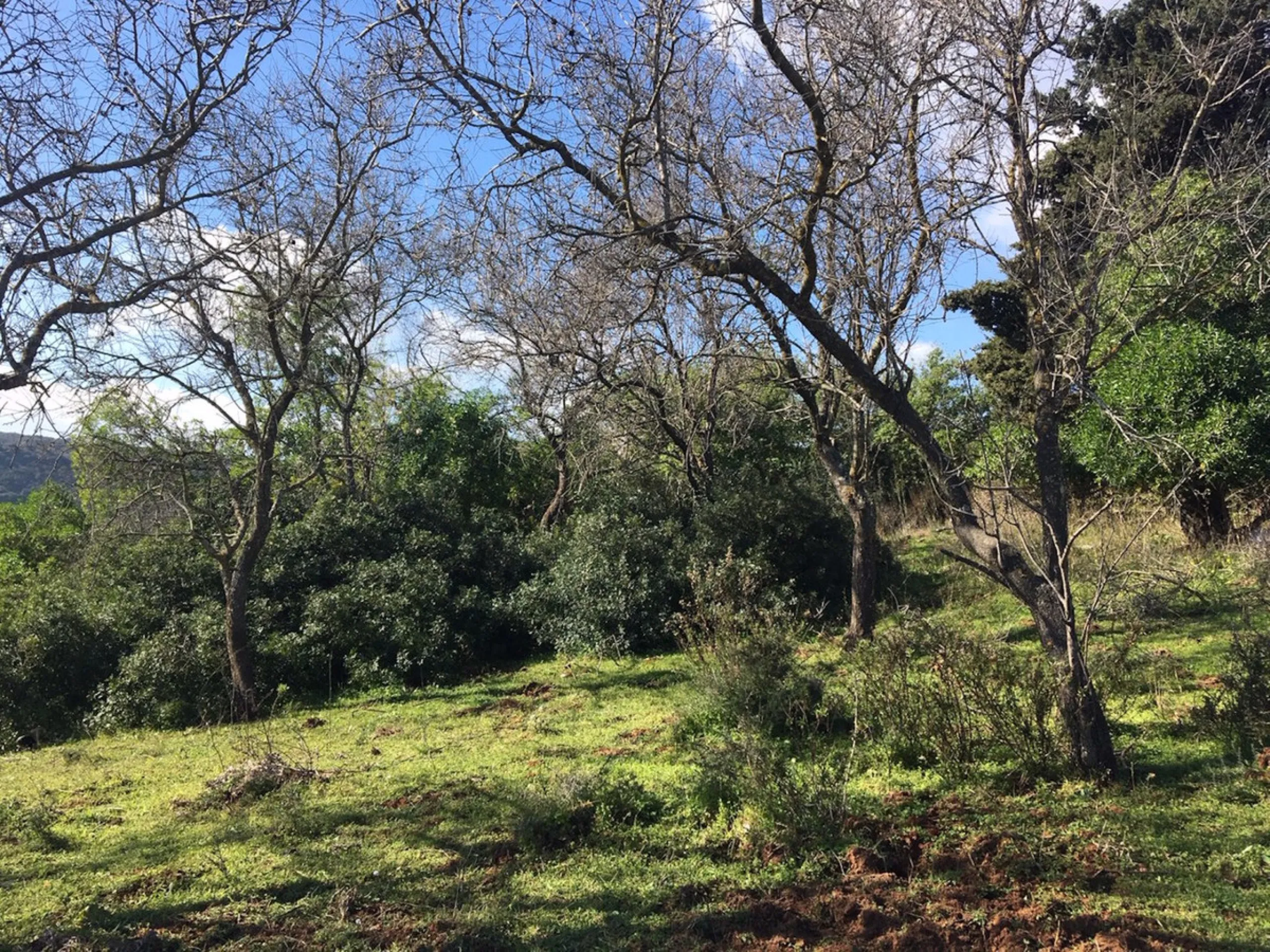 Plot - Land в продаже в Manilva, Málaga. Площадь участка 143500 м²