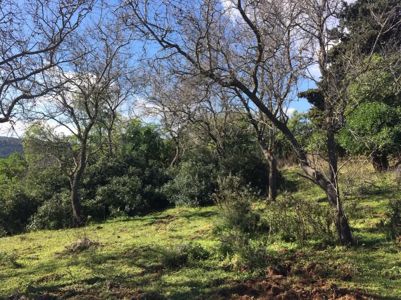 Plot - Land в продаже в Manilva, Málaga. Площадь участка 143500 м²