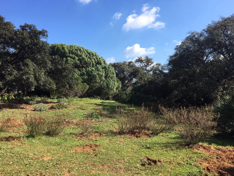 Plot - Land в продаже в Manilva, Málaga. Площадь участка 143500 м²