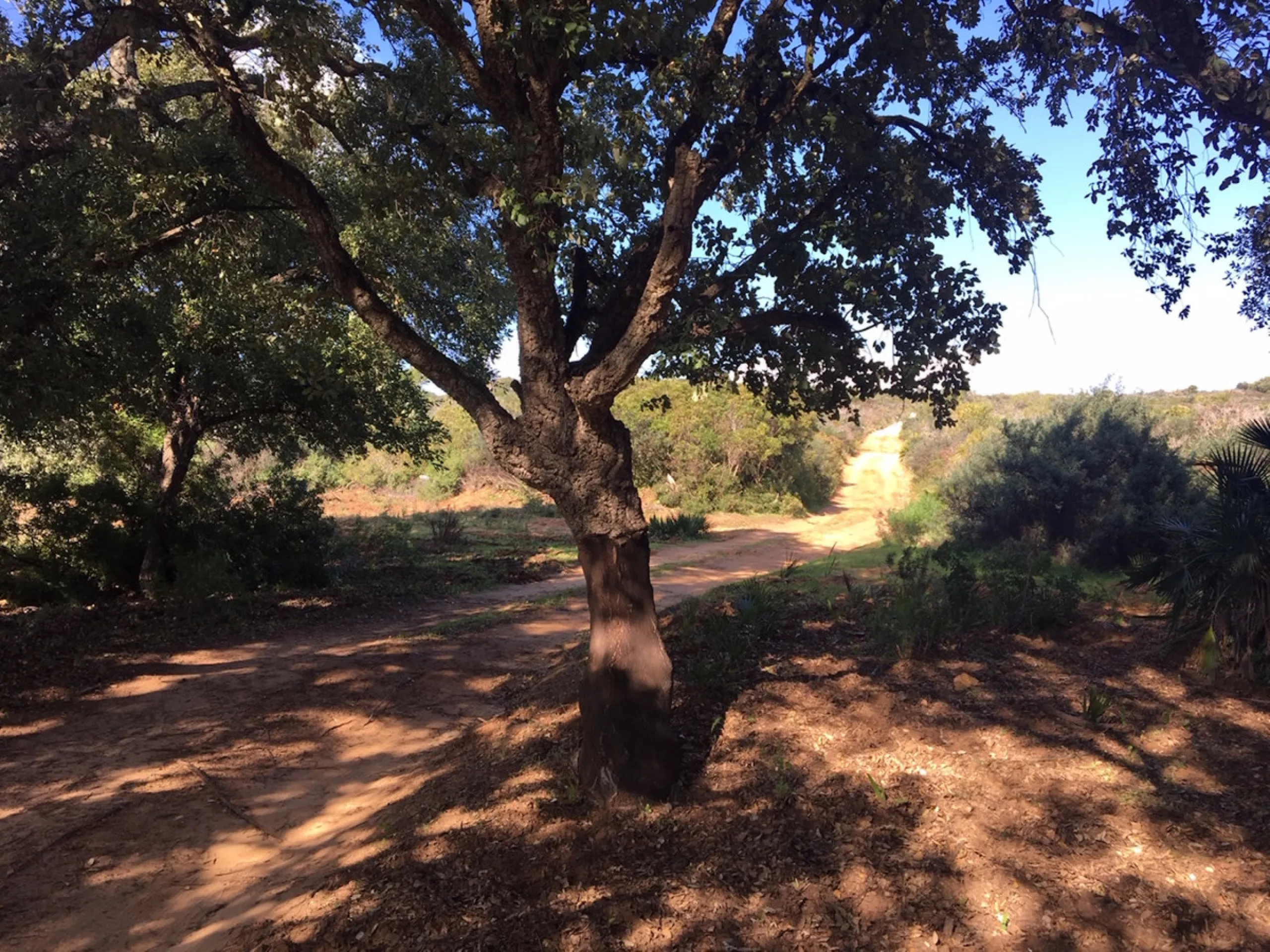 Plot - Land в продаже в Manilva, Málaga. Площадь участка 143500 м²