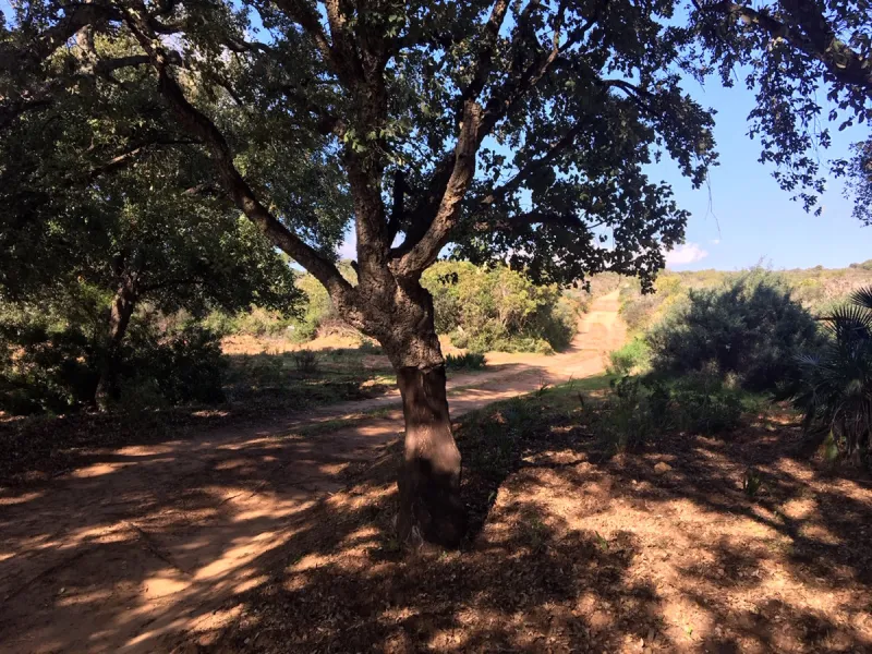 Plot - Land в продаже в Manilva, Málaga. Площадь участка 143500 м²