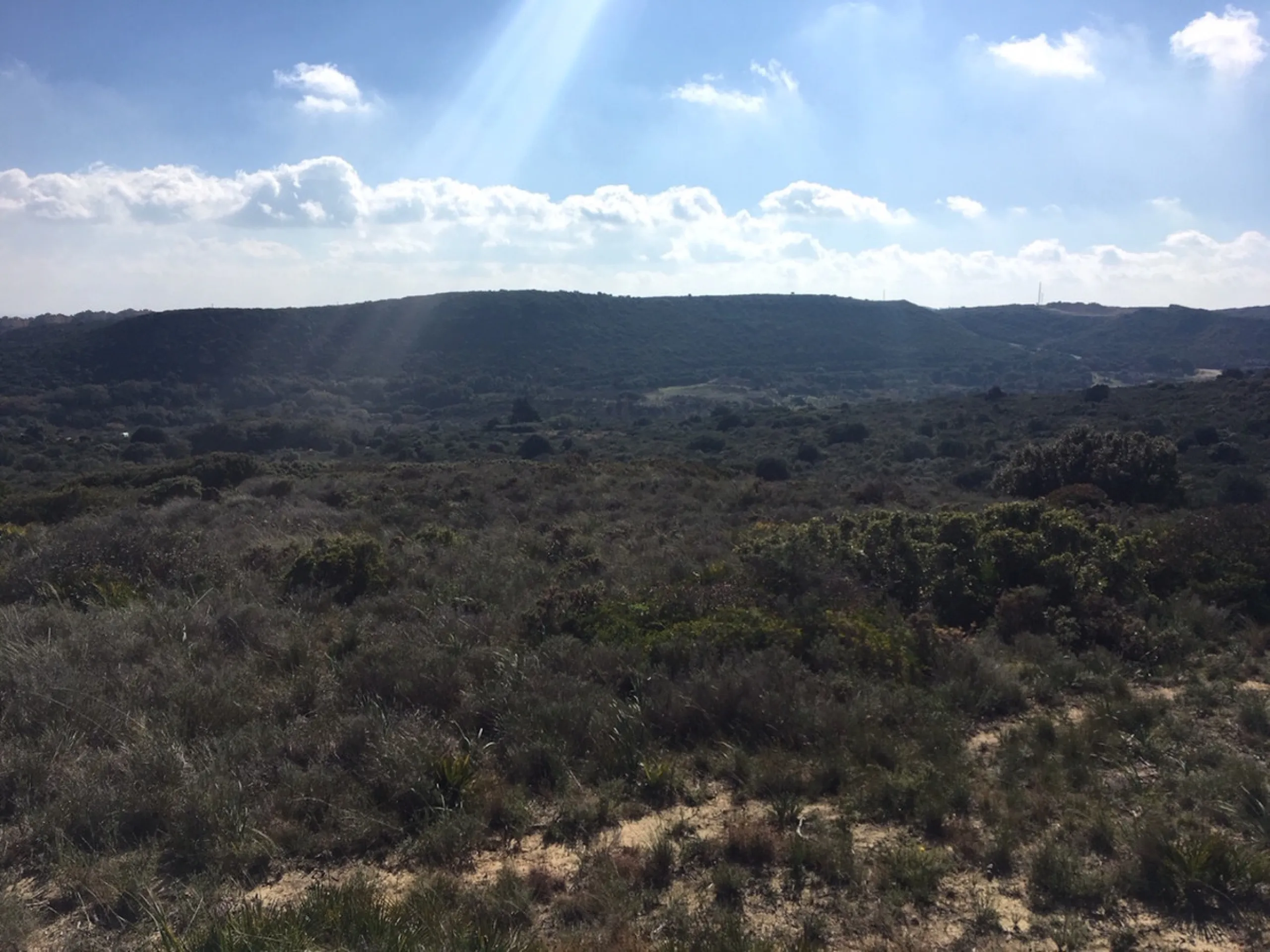 Plot - Land в продаже в Manilva, Málaga. Площадь участка 143500 м²