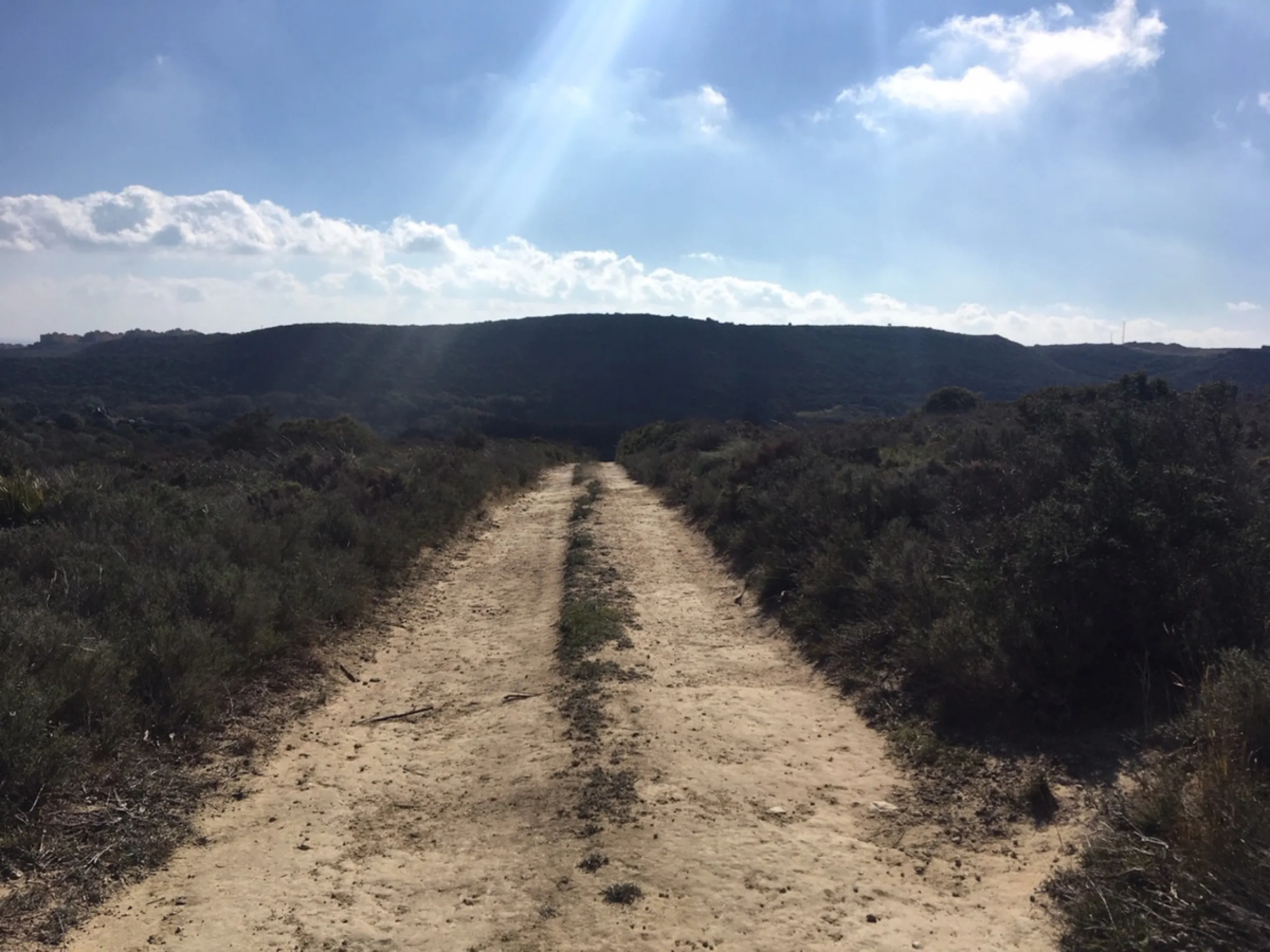 Plot - Land в продаже в Manilva, Málaga. Площадь участка 143500 м²