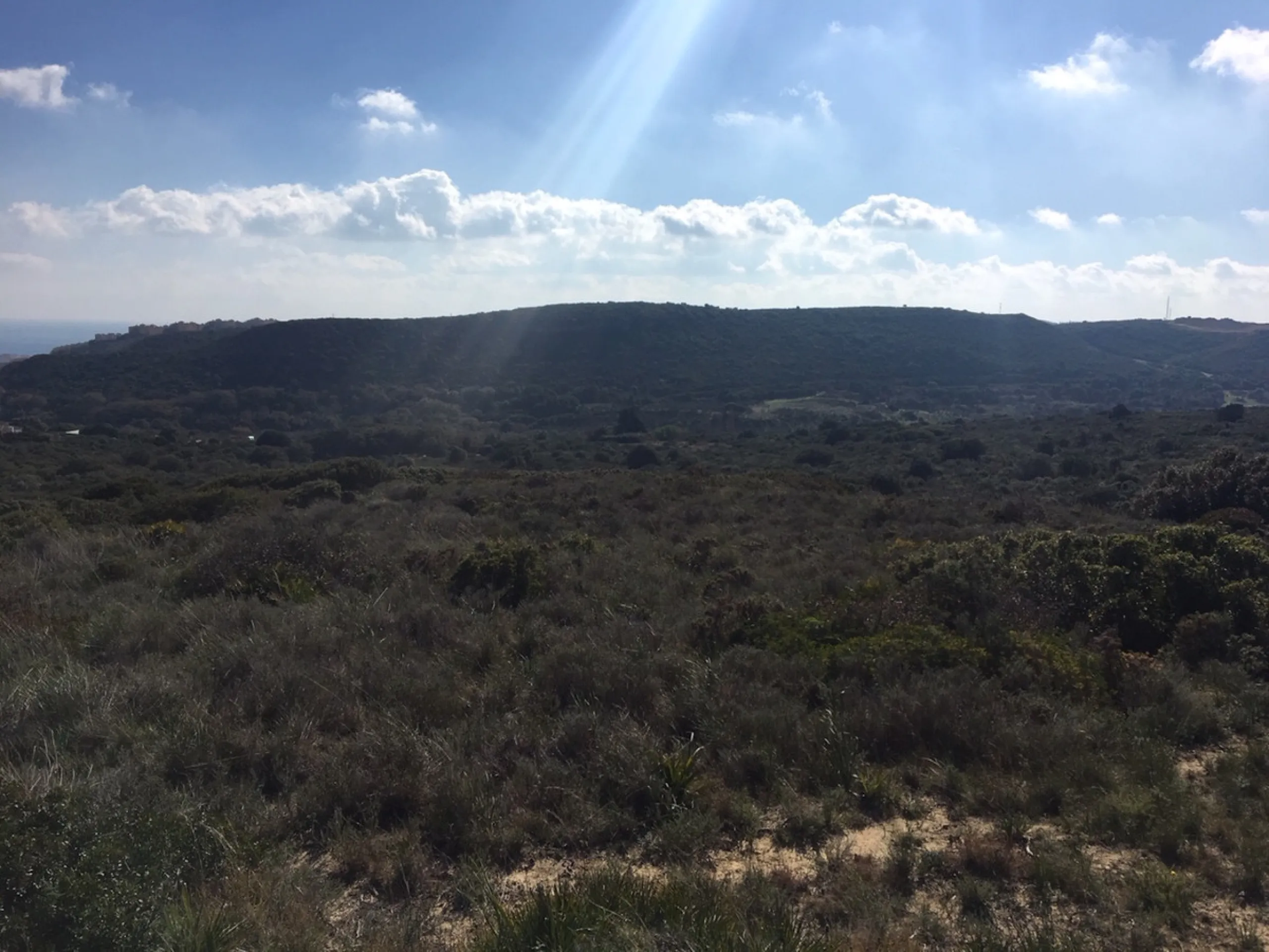 Plot - Land в продаже в Manilva, Málaga. Площадь участка 143500 м²