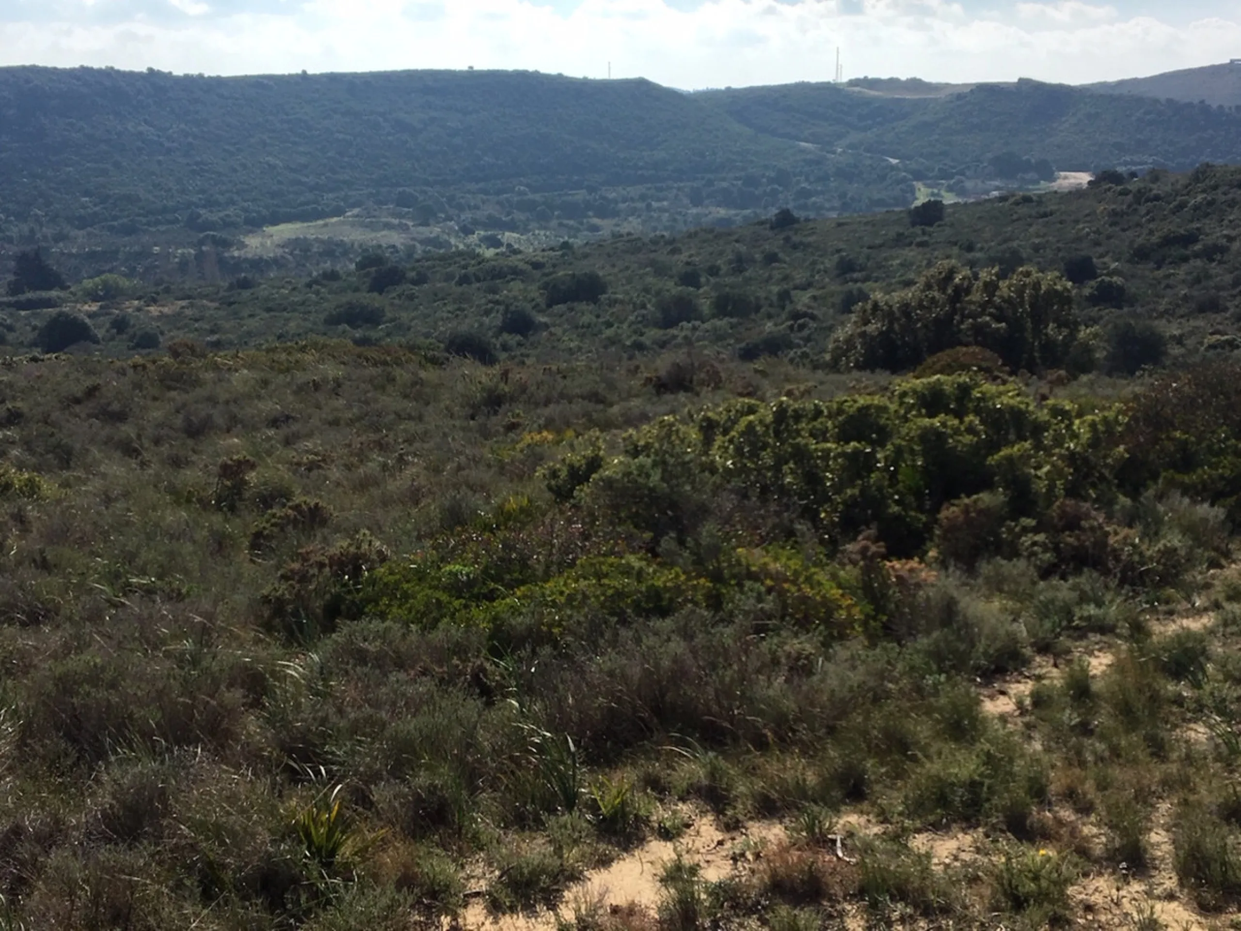 Plot - Land в продаже в Manilva, Málaga. Площадь участка 143500 м²