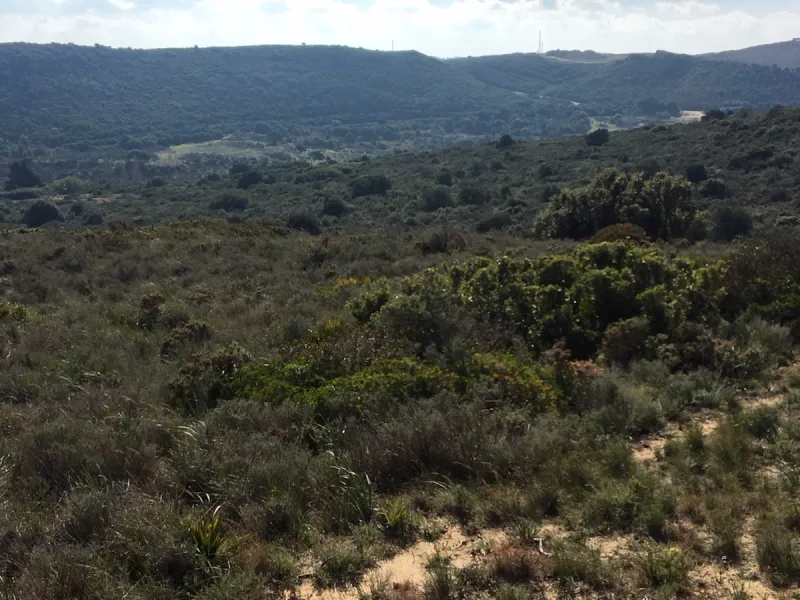 Plot - Land в продаже в Manilva, Málaga. Площадь участка 143500 м²