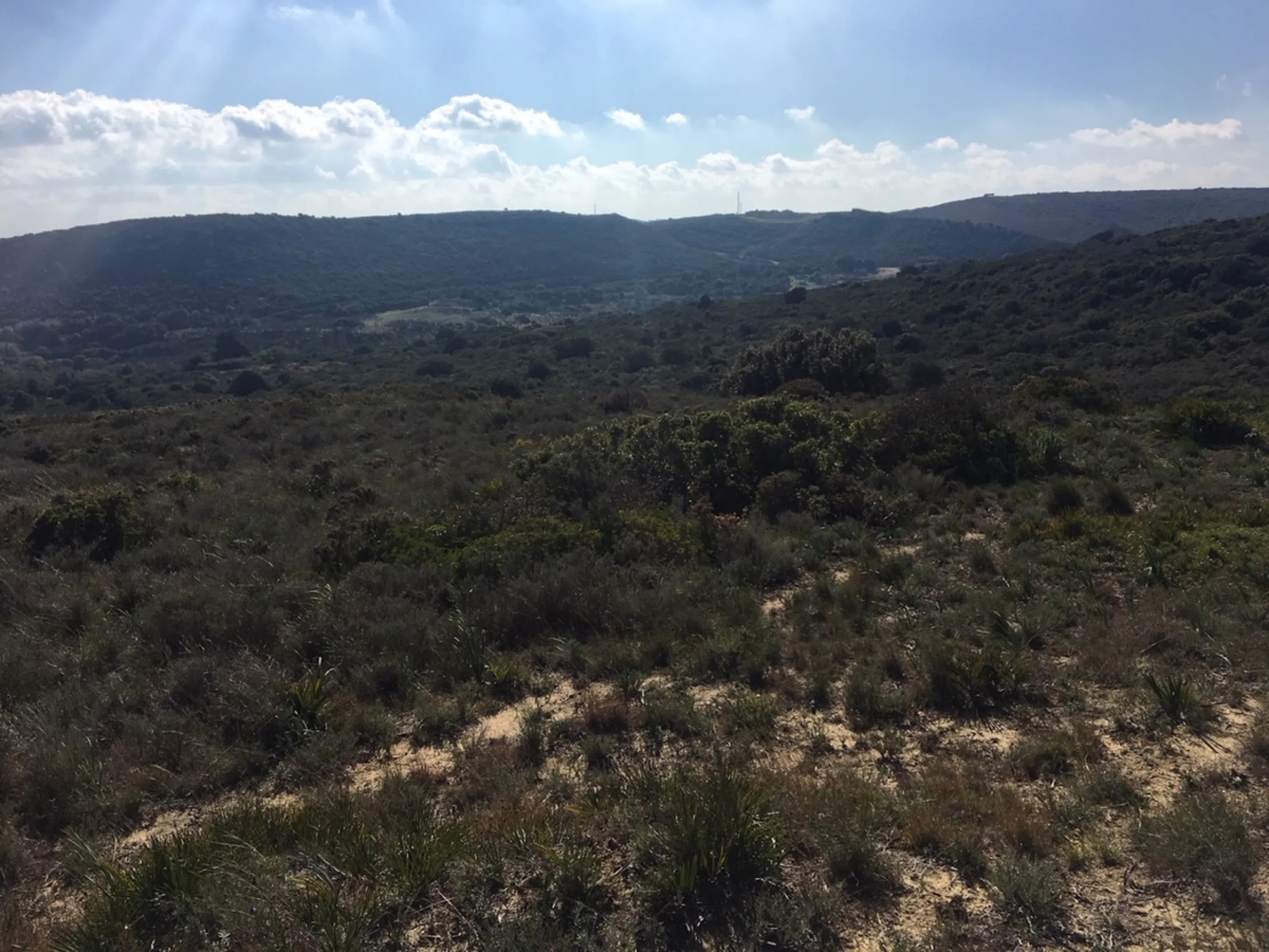Plot - Land в продаже в Manilva, Málaga. Площадь участка 143500 м²