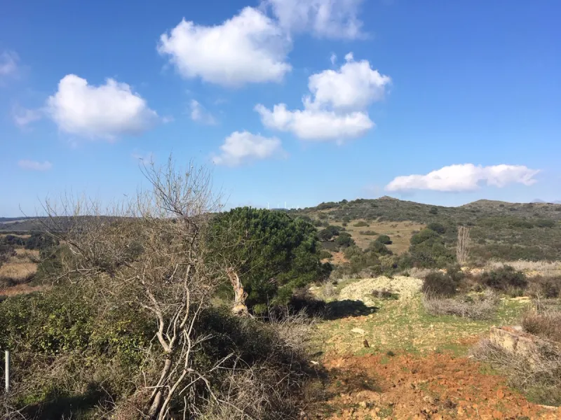 Plot - Land в продаже в Manilva, Málaga. Площадь участка 143500 м²