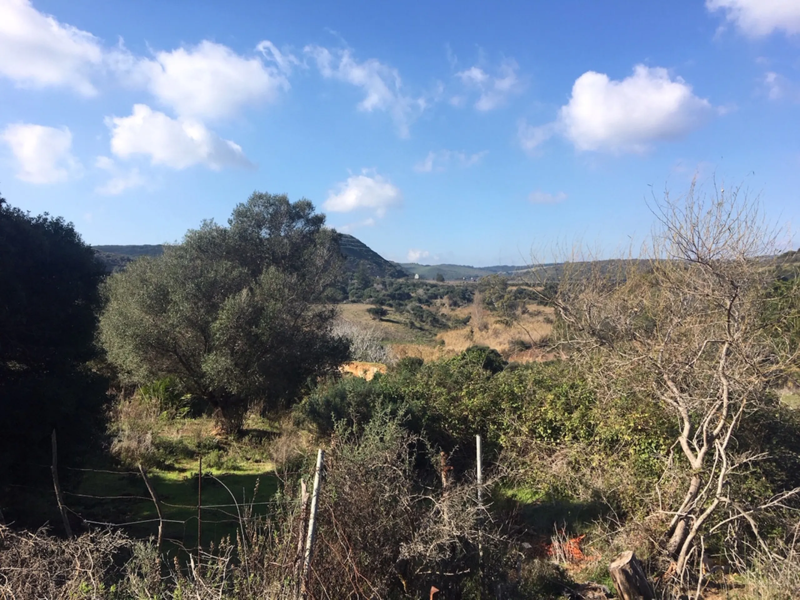 Plot - Land в продаже в Manilva, Málaga. Площадь участка 143500 м²
