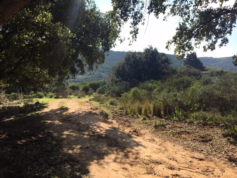 Plot - Land в продаже в Manilva, Málaga. Площадь участка 143500 м²