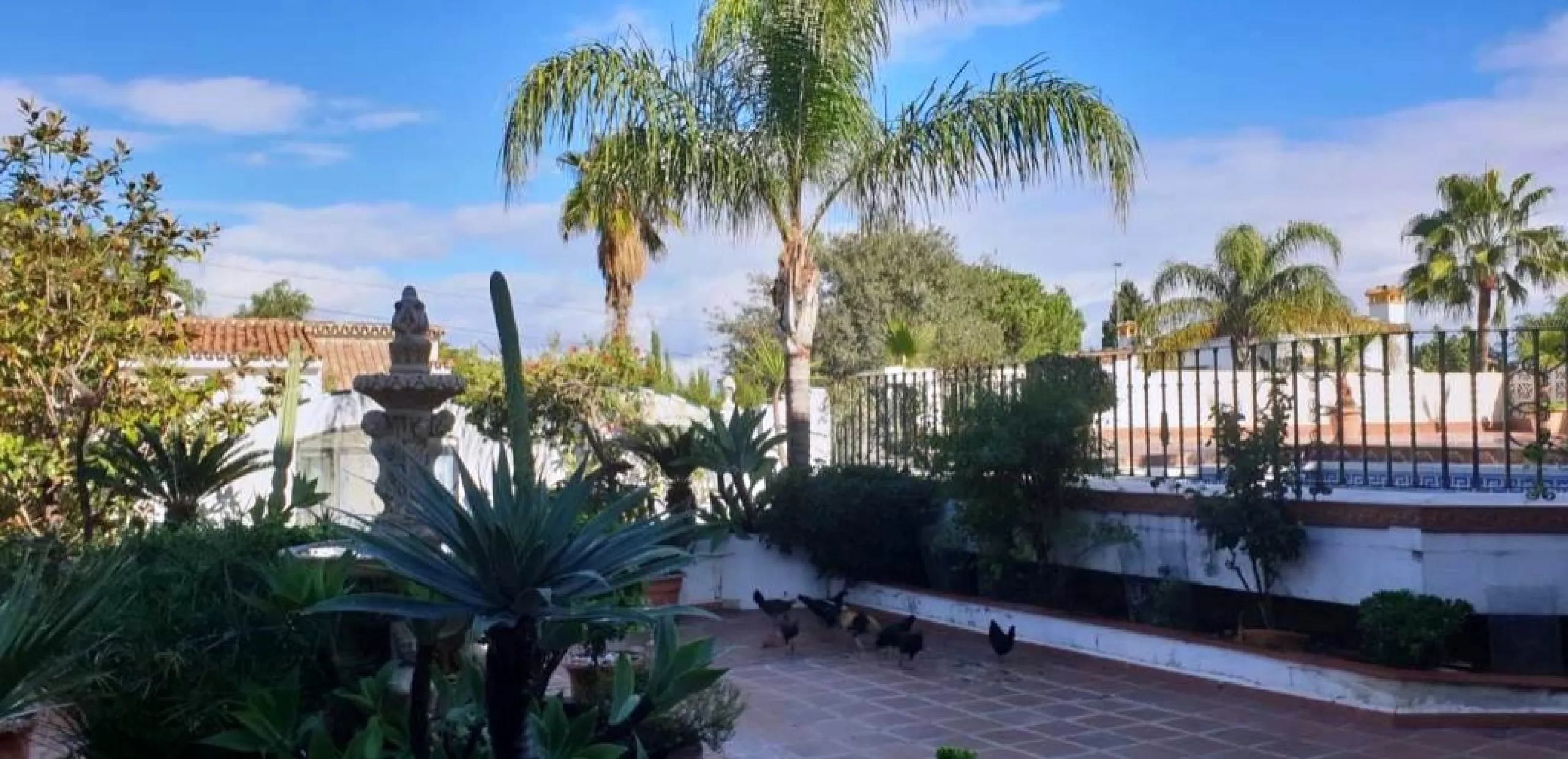 2936-V  Villa in Alhaurin de la Torre located in a privileged environment. Villa located close to  Costa del Sol area,  from which you have a comfortable  and easy access to all the services of Alhaurin de la Torre, surrounded by nature and being able to 