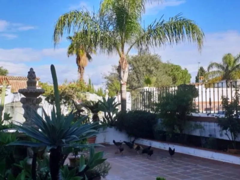 2936-V  Villa in Alhaurin de la Torre located in a privileged environment. Villa located close to  Costa del Sol area,  from which you have a comfortable  and easy access to all the services of Alhaurin de la Torre, surrounded by nature and being able to 