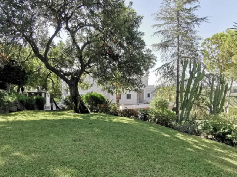 House - Detached Villa в продаже в Estepona, Málaga. В доме 5 спален и 5 ванных комнат. Площадь дома 387 м². Площадь участка 5520 м²
