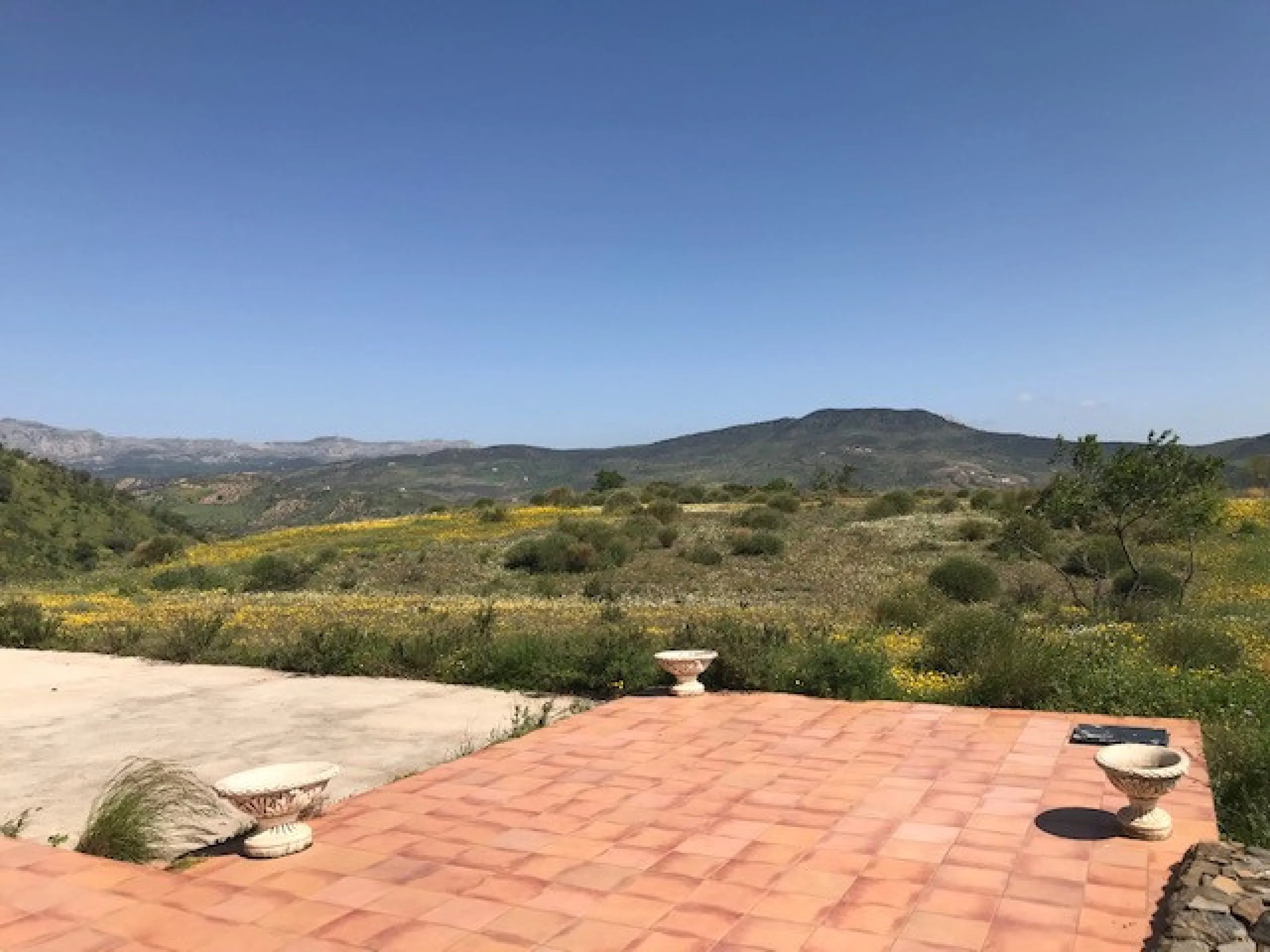 Big FINCA just 5-10 minutes far from Casabermeja  and 30 minutes from Málaga.
