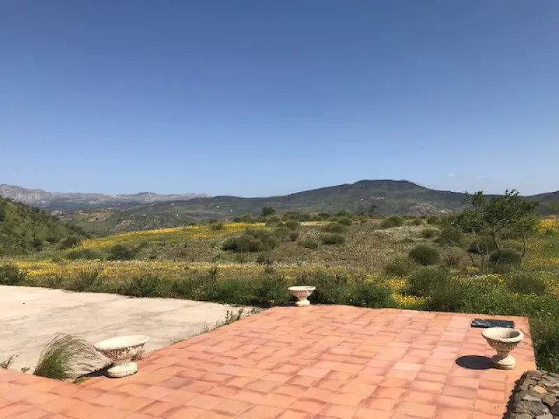 Big FINCA just 5-10 minutes far from Casabermeja  and 30 minutes from Málaga.