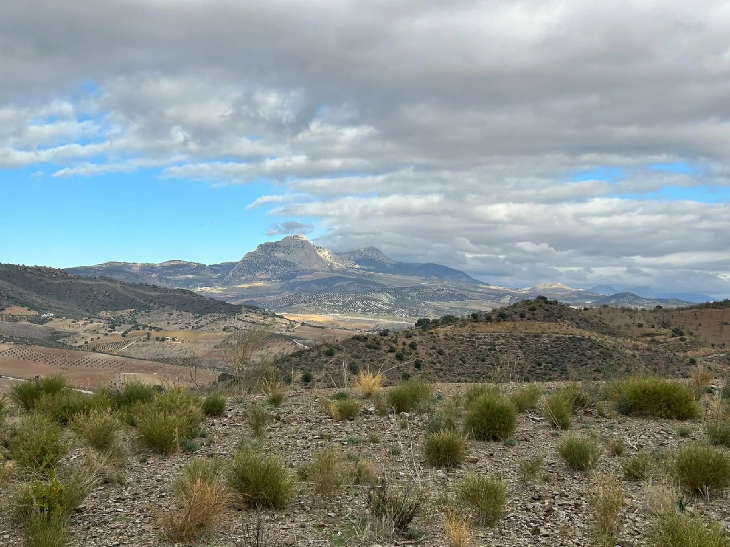 Big FINCA just 5-10 minutes far from Casabermeja  and 30 minutes from Málaga.