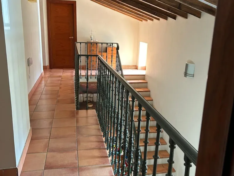 Big FINCA just 5-10 minutes far from Casabermeja  and 30 minutes from Málaga.