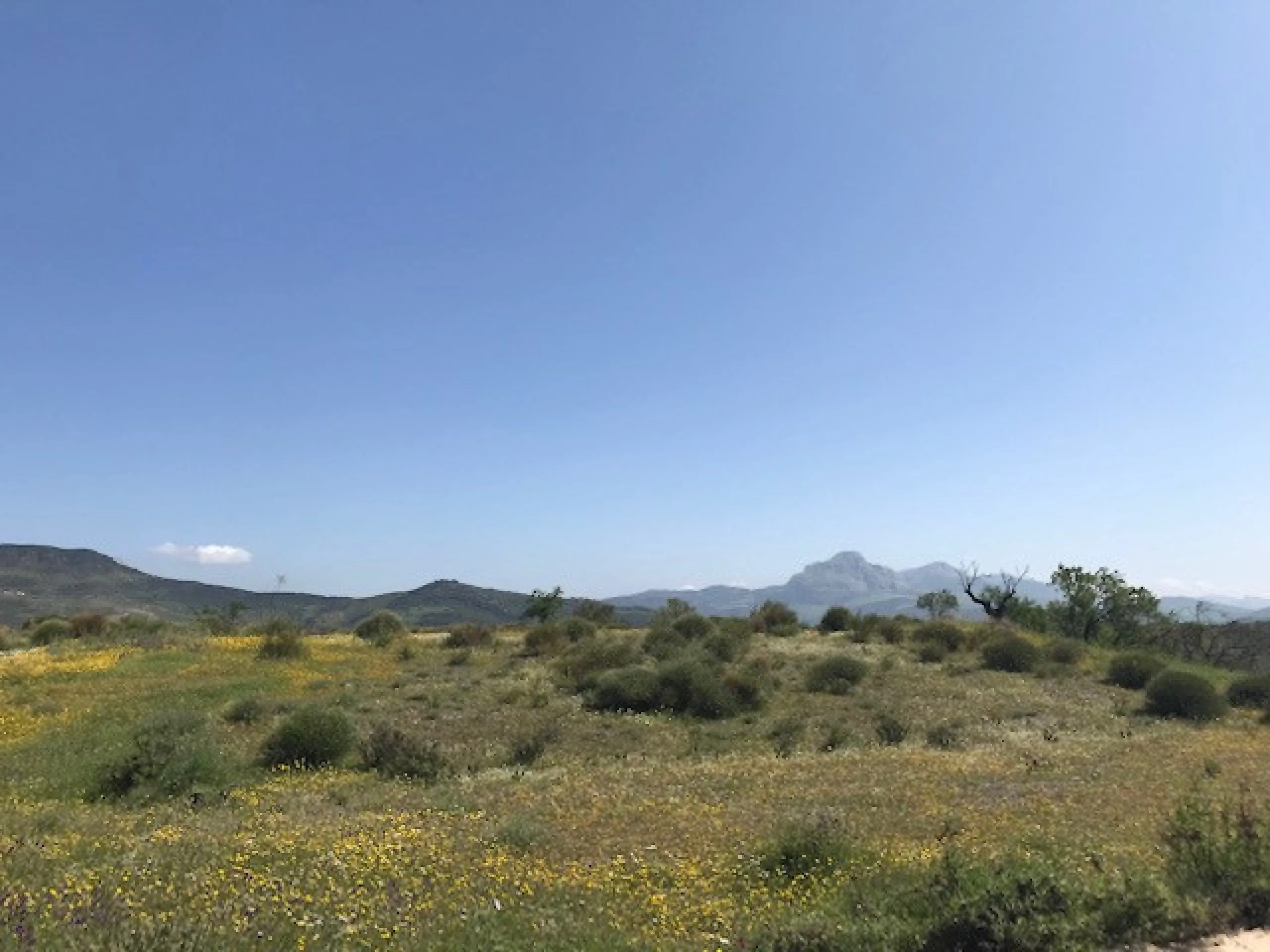 Big FINCA just 5-10 minutes far from Casabermeja  and 30 minutes from Málaga.