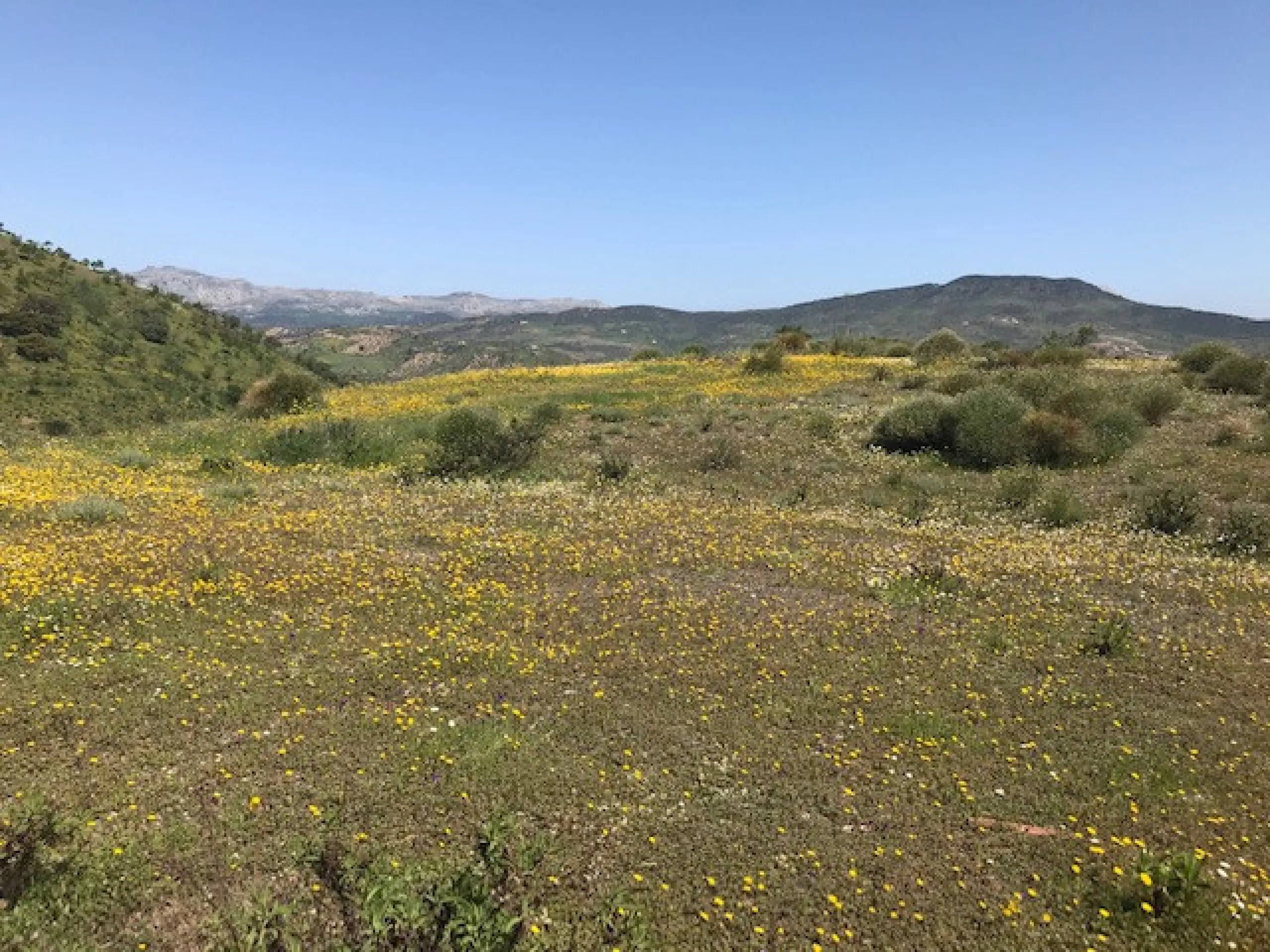 Big FINCA just 5-10 minutes far from Casabermeja  and 30 minutes from Málaga.