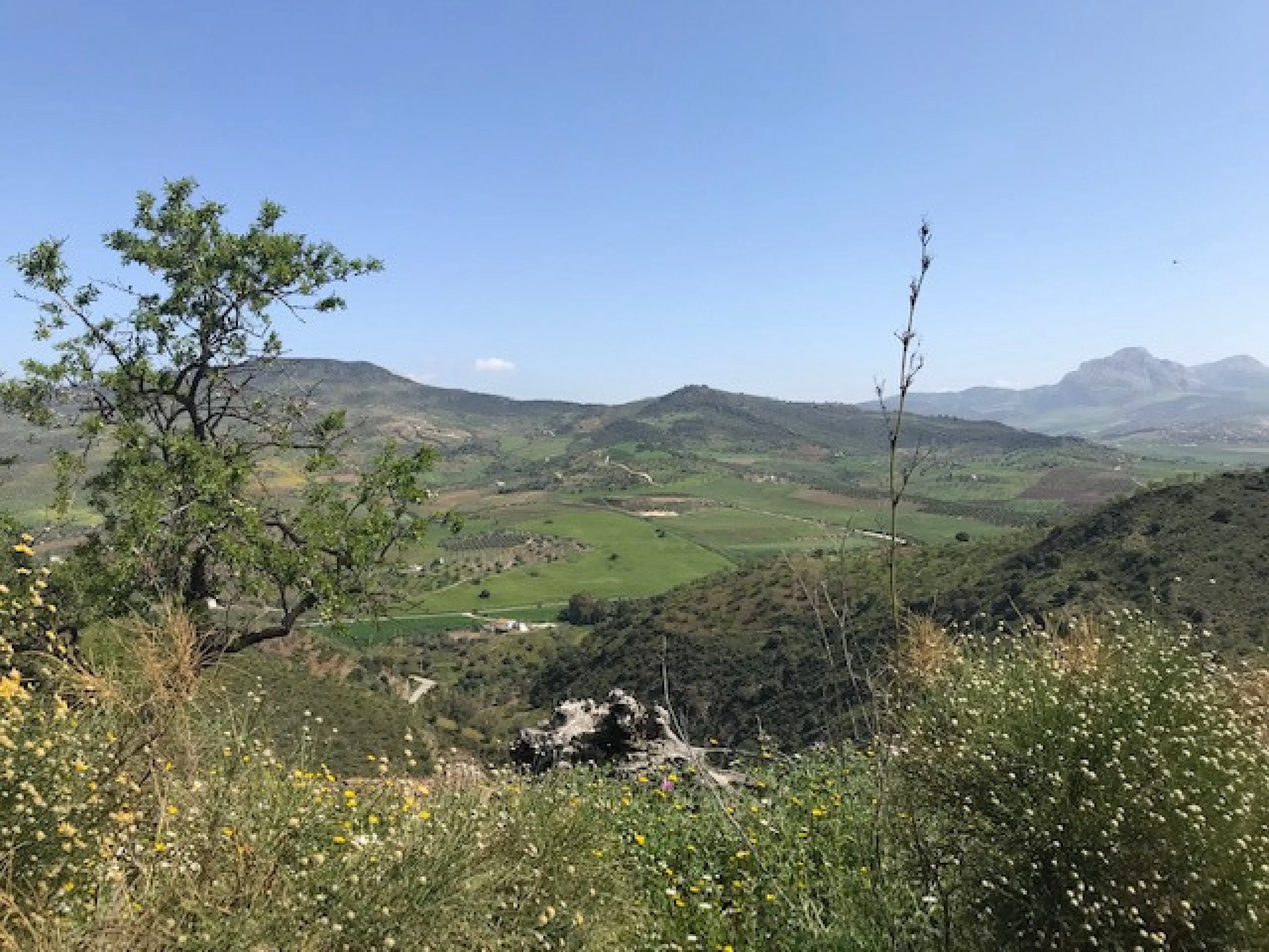 Big FINCA just 5-10 minutes far from Casabermeja  and 30 minutes from Málaga.