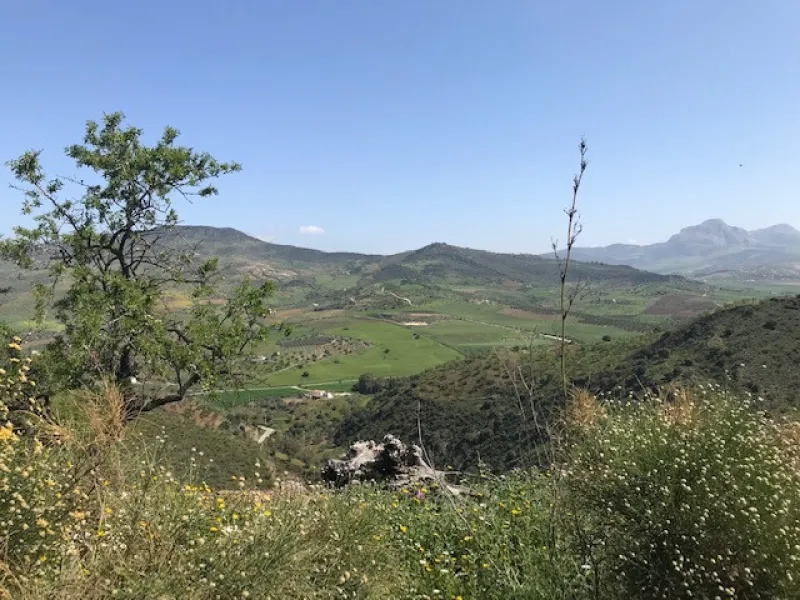 Big FINCA just 5-10 minutes far from Casabermeja  and 30 minutes from Málaga.
