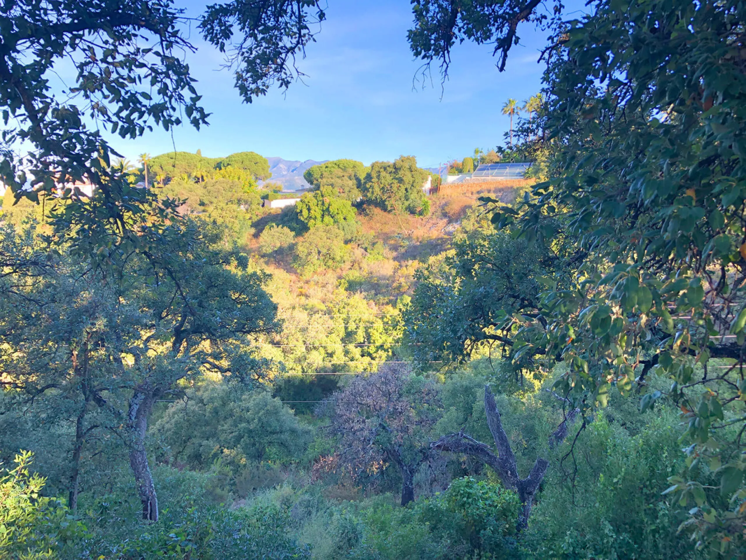 Plot - Residential Plot в продаже в Marbella, Málaga. Площадь участка 28123 м²