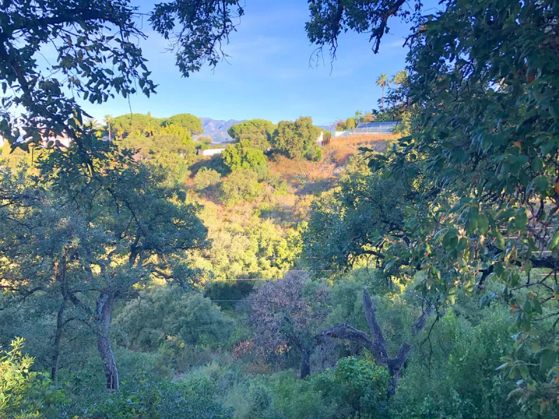Plot - Residential Plot в продаже в Marbella, Málaga. Площадь участка 28123 м²