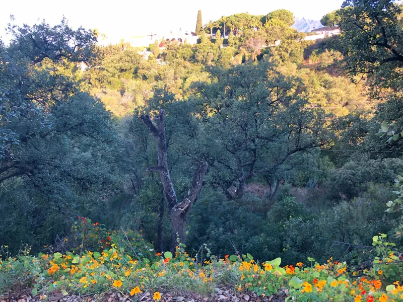 Plot - Residential Plot в продаже в Marbella, Málaga. Площадь участка 28123 м²