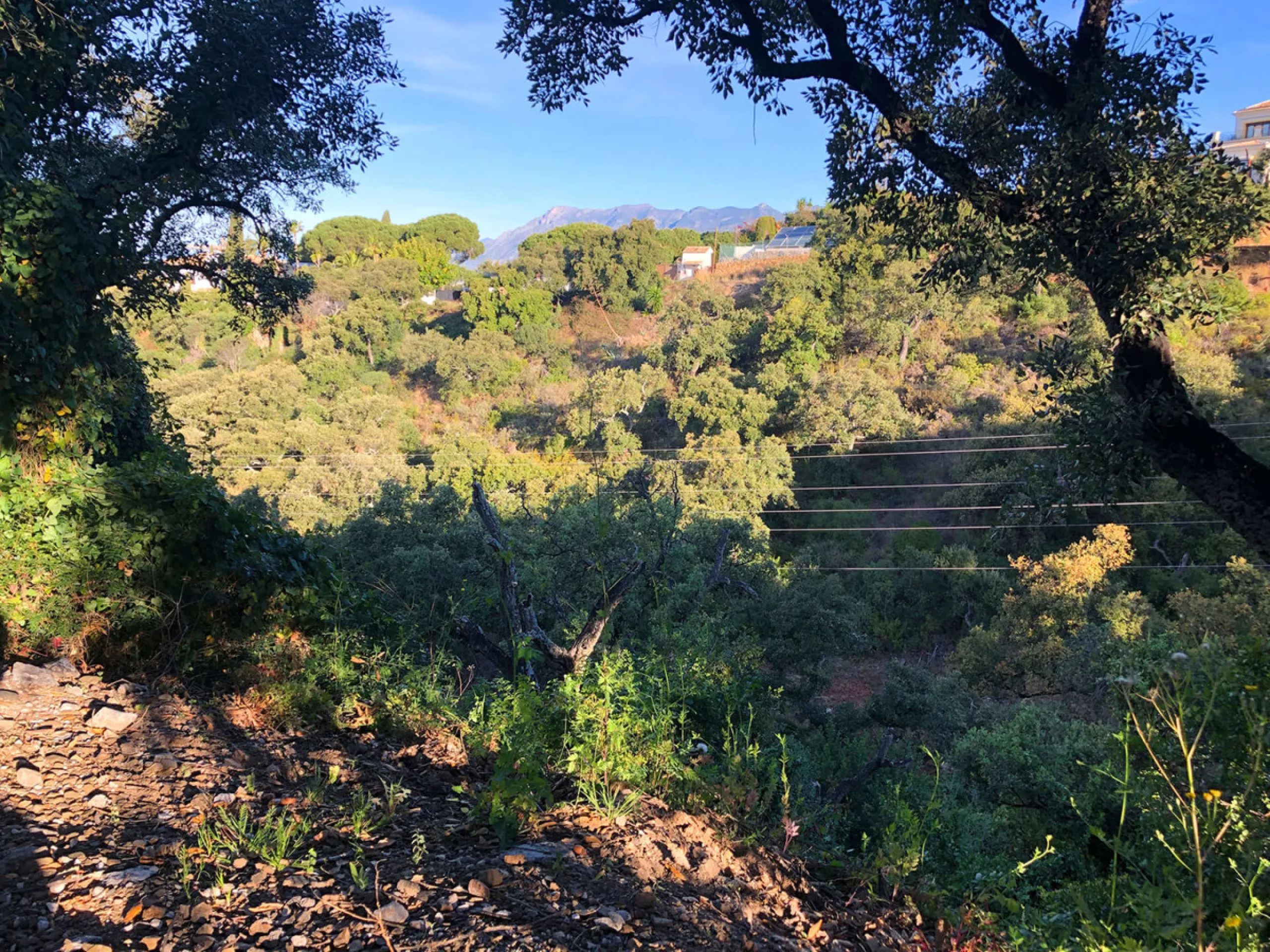 Plot - Residential Plot в продаже в Marbella, Málaga. Площадь участка 28123 м²