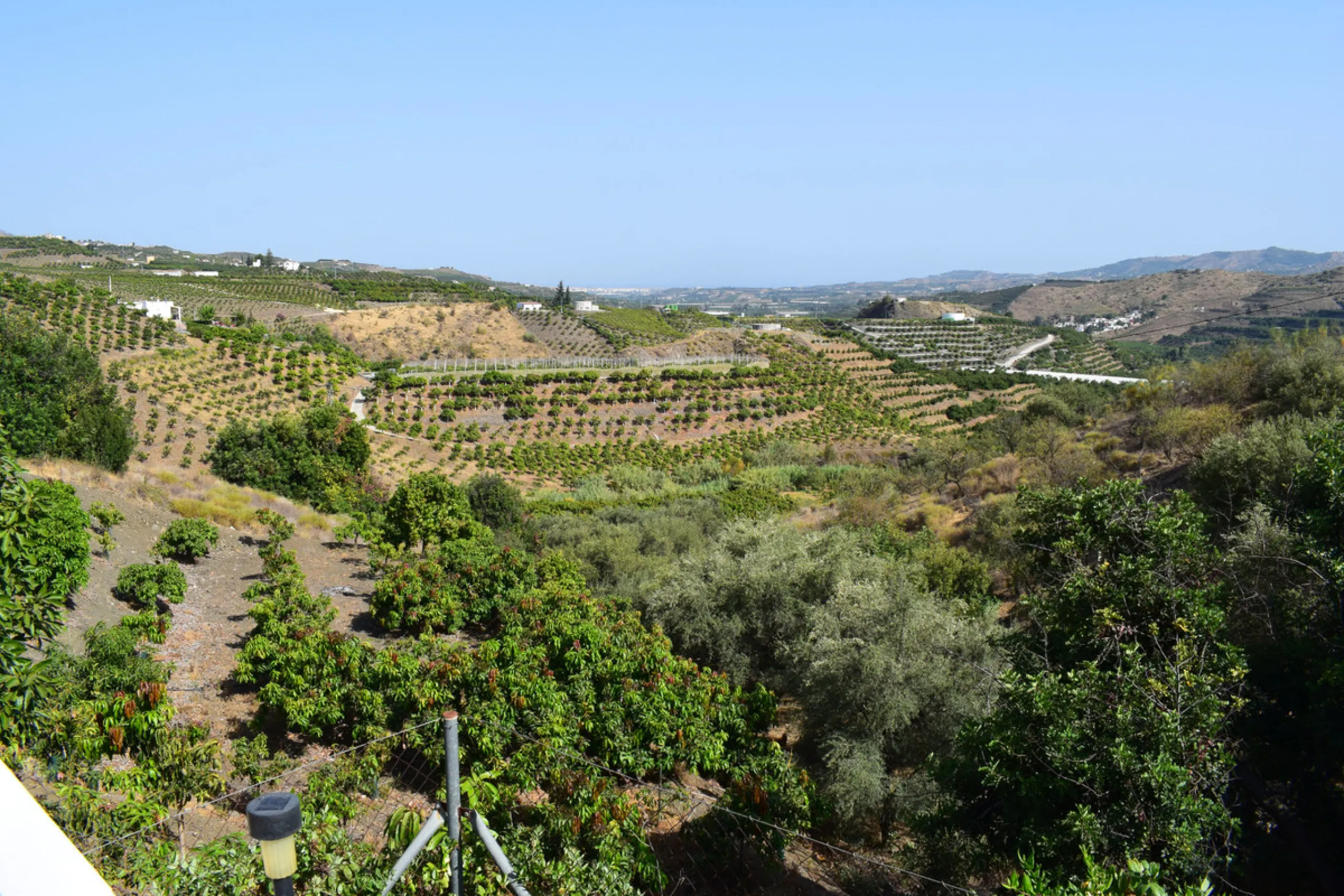 8,000 m2 irrigated farm with mango production. The villa has 160 m2 with a 60 m2 solarium, 4 bedrooms all with two windows or balconies (2 on the ground floor and another 2 bedrooms on the upper floor), 2 full bathrooms with window, large living room with