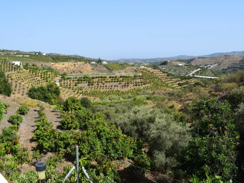 8,000 m2 irrigated farm with mango production. The villa has 160 m2 with a 60 m2 solarium, 4 bedrooms all with two windows or balconies (2 on the ground floor and another 2 bedrooms on the upper floor), 2 full bathrooms with window, large living room with