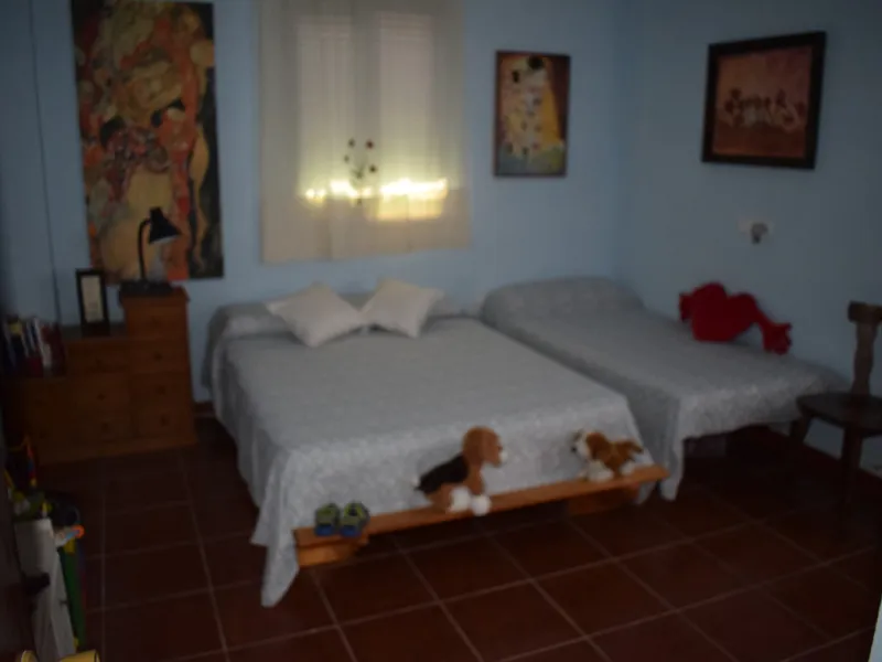 8,000 m2 irrigated farm with mango production. The villa has 160 m2 with a 60 m2 solarium, 4 bedrooms all with two windows or balconies (2 on the ground floor and another 2 bedrooms on the upper floor), 2 full bathrooms with window, large living room with