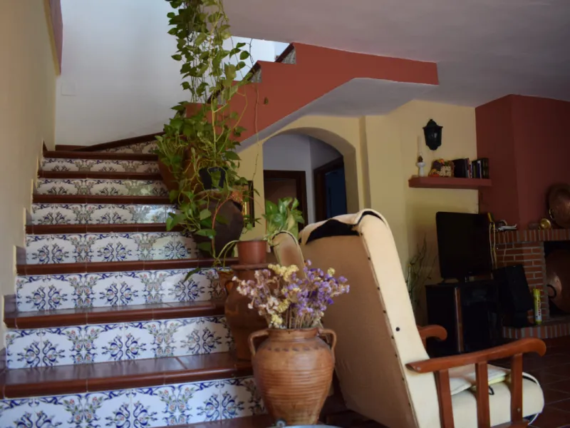 8,000 m2 irrigated farm with mango production. The villa has 160 m2 with a 60 m2 solarium, 4 bedrooms all with two windows or balconies (2 on the ground floor and another 2 bedrooms on the upper floor), 2 full bathrooms with window, large living room with