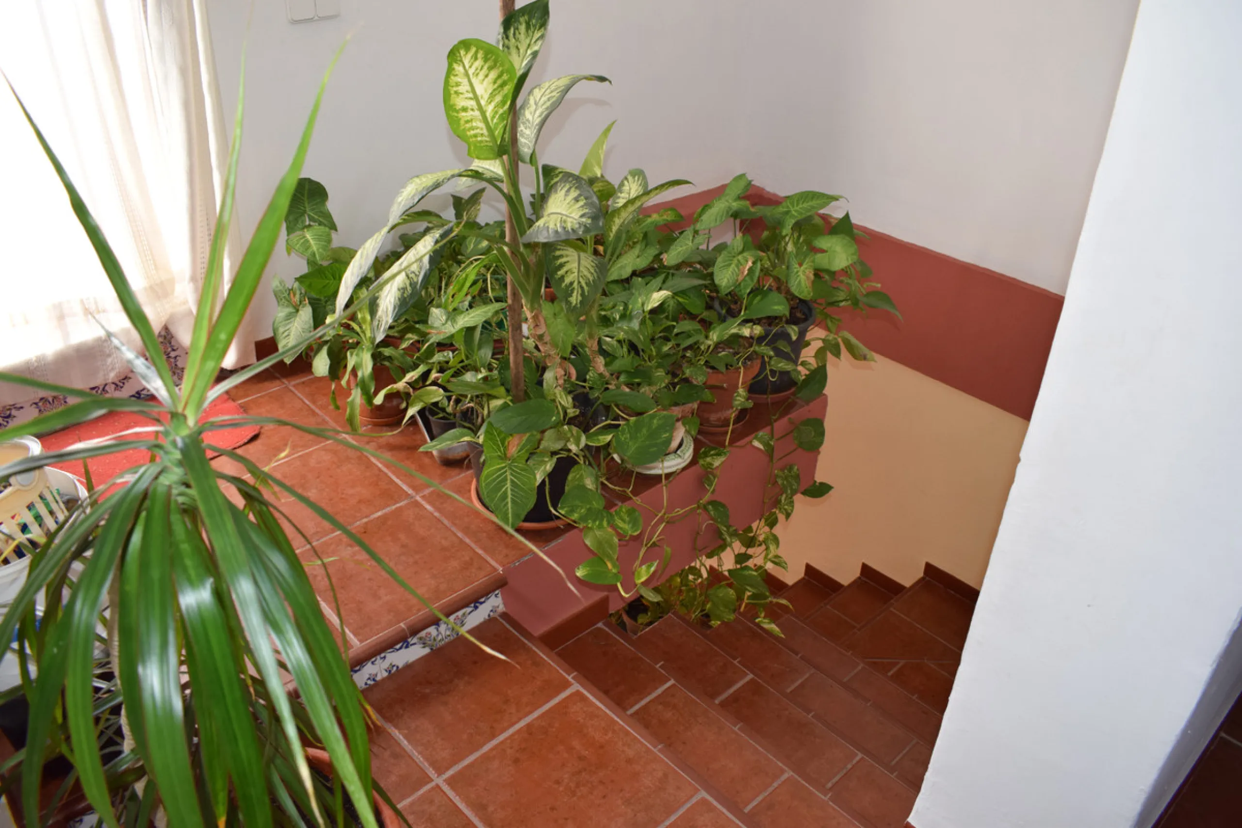 8,000 m2 irrigated farm with mango production. The villa has 160 m2 with a 60 m2 solarium, 4 bedrooms all with two windows or balconies (2 on the ground floor and another 2 bedrooms on the upper floor), 2 full bathrooms with window, large living room with