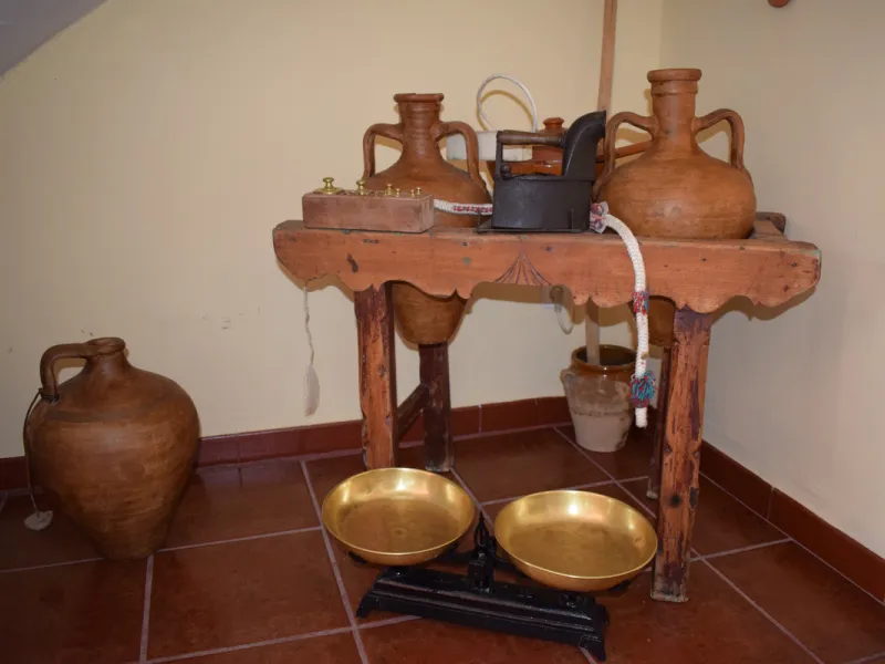 8,000 m2 irrigated farm with mango production. The villa has 160 m2 with a 60 m2 solarium, 4 bedrooms all with two windows or balconies (2 on the ground floor and another 2 bedrooms on the upper floor), 2 full bathrooms with window, large living room with