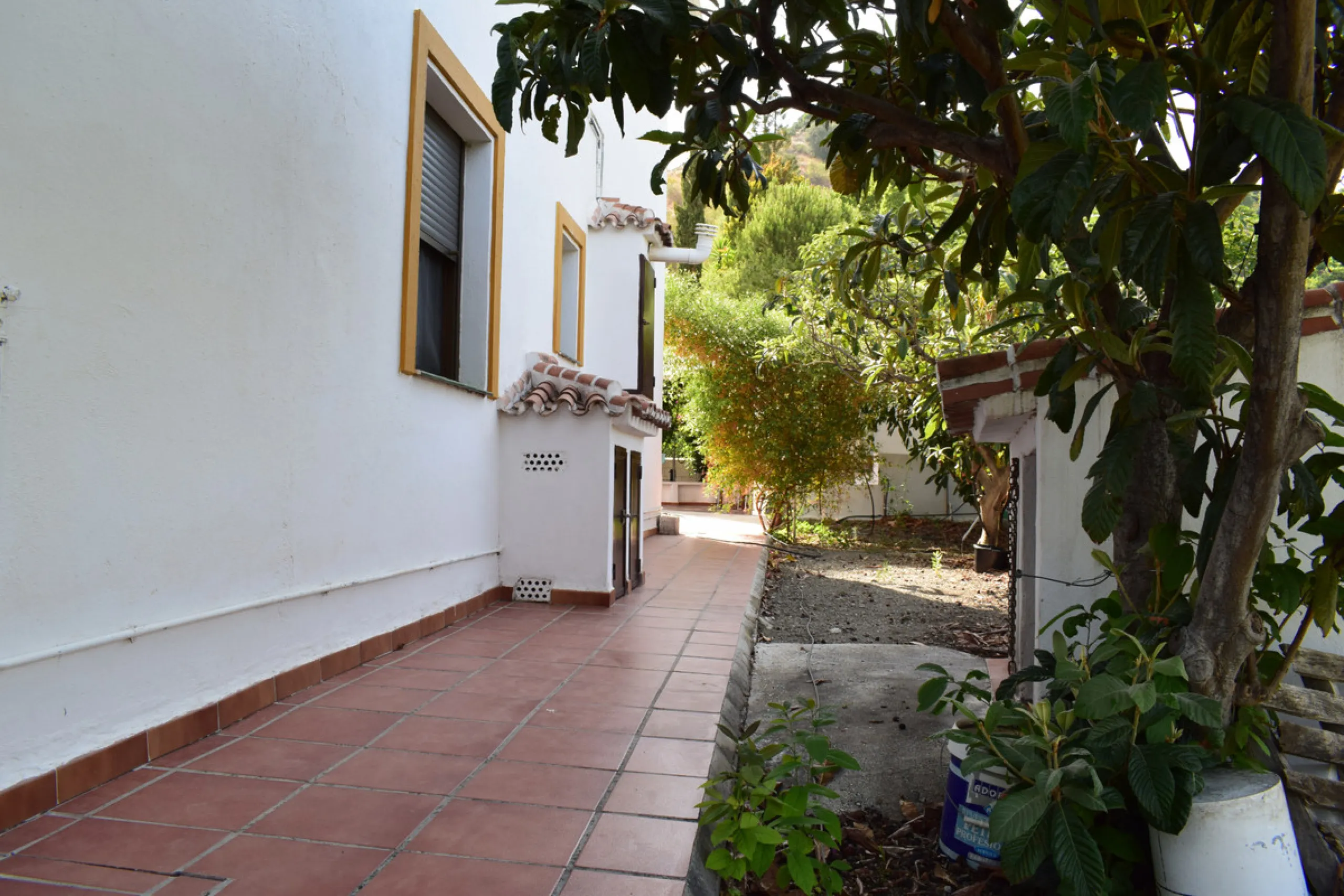 8,000 m2 irrigated farm with mango production. The villa has 160 m2 with a 60 m2 solarium, 4 bedrooms all with two windows or balconies (2 on the ground floor and another 2 bedrooms on the upper floor), 2 full bathrooms with window, large living room with