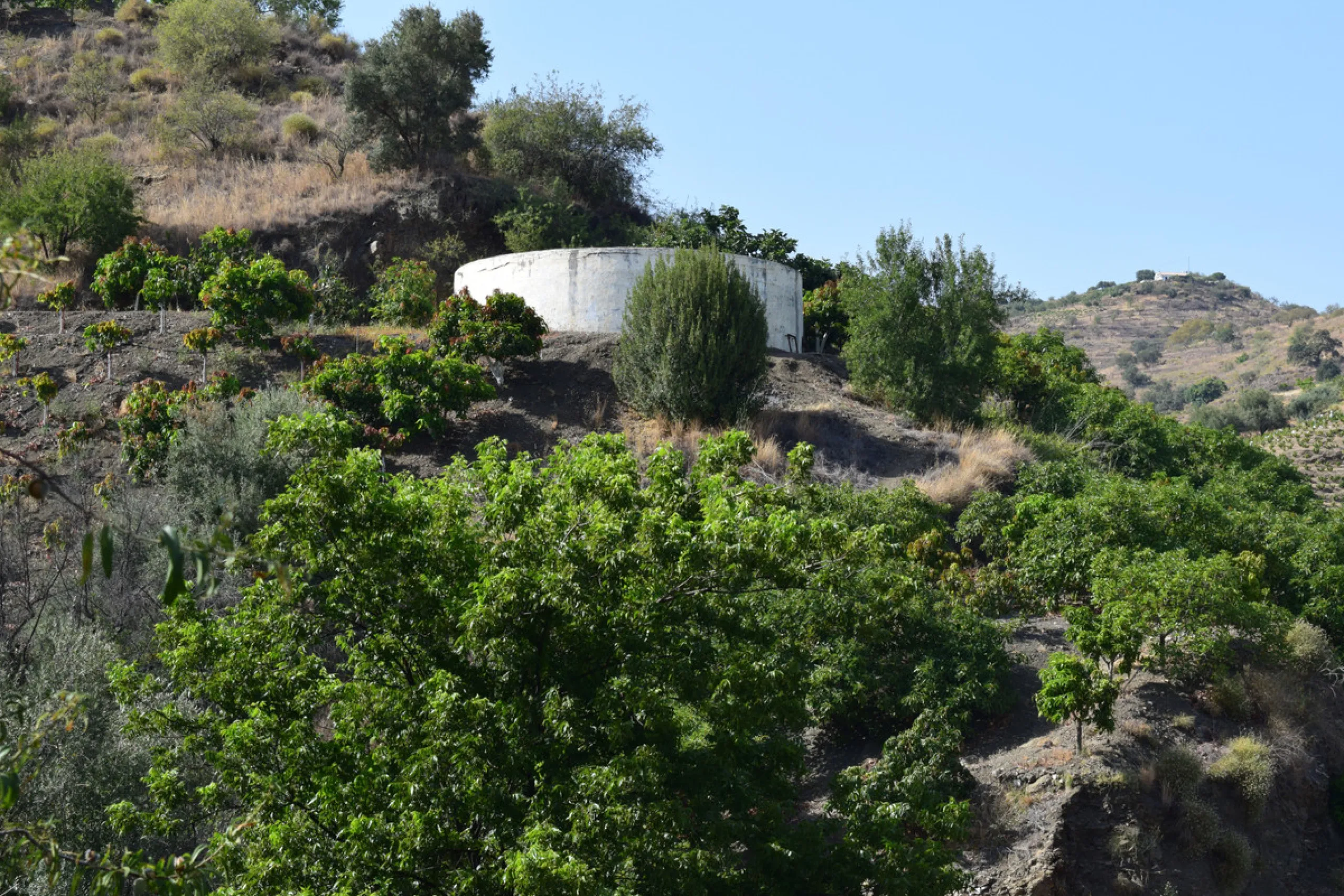 8,000 m2 irrigated farm with mango production. The villa has 160 m2 with a 60 m2 solarium, 4 bedrooms all with two windows or balconies (2 on the ground floor and another 2 bedrooms on the upper floor), 2 full bathrooms with window, large living room with