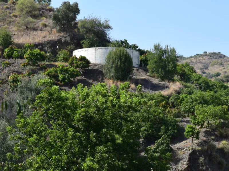 8,000 m2 irrigated farm with mango production. The villa has 160 m2 with a 60 m2 solarium, 4 bedrooms all with two windows or balconies (2 on the ground floor and another 2 bedrooms on the upper floor), 2 full bathrooms with window, large living room with