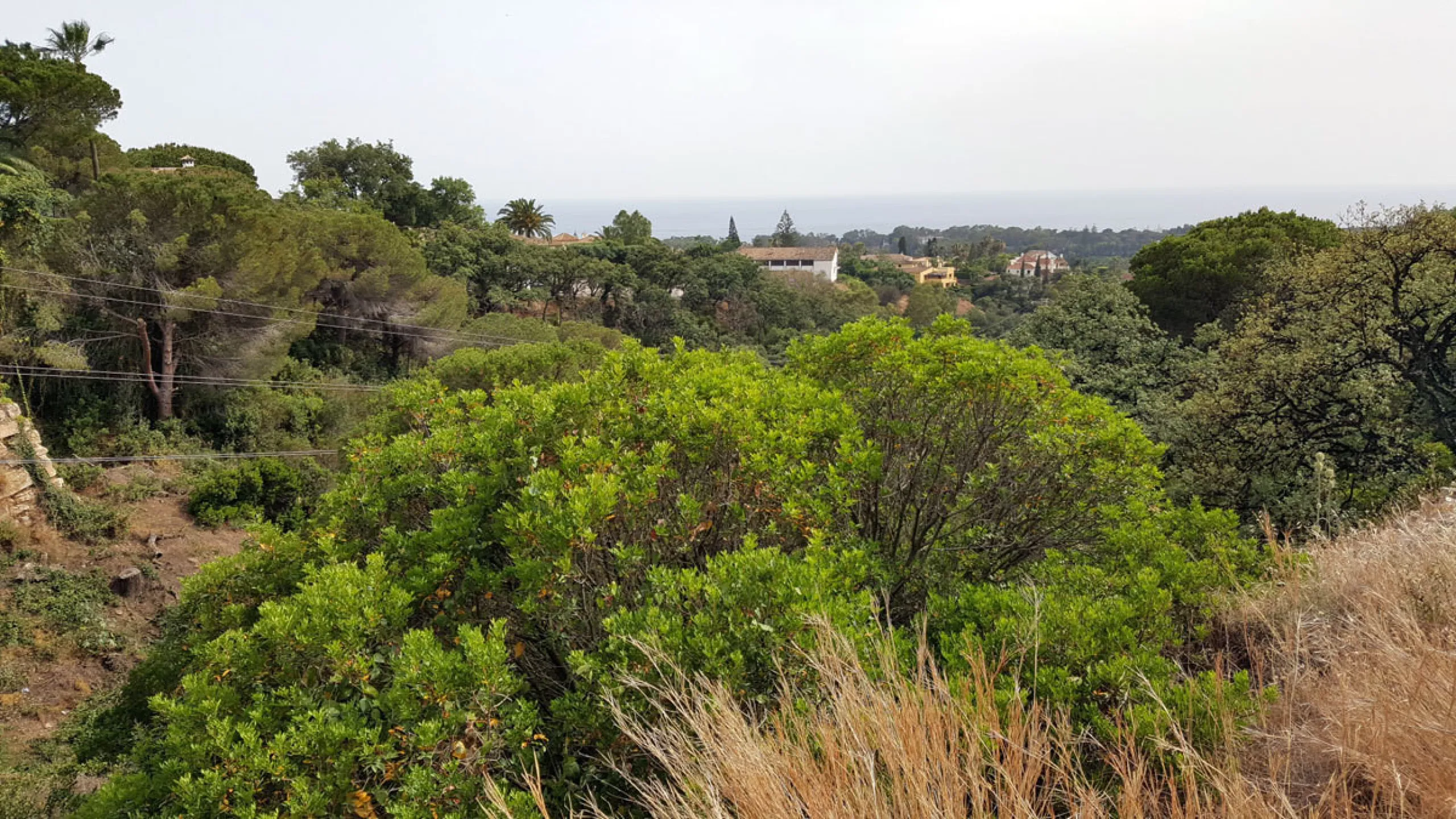 19 PLOTS - ELVIRIA - EAST MARBELLA